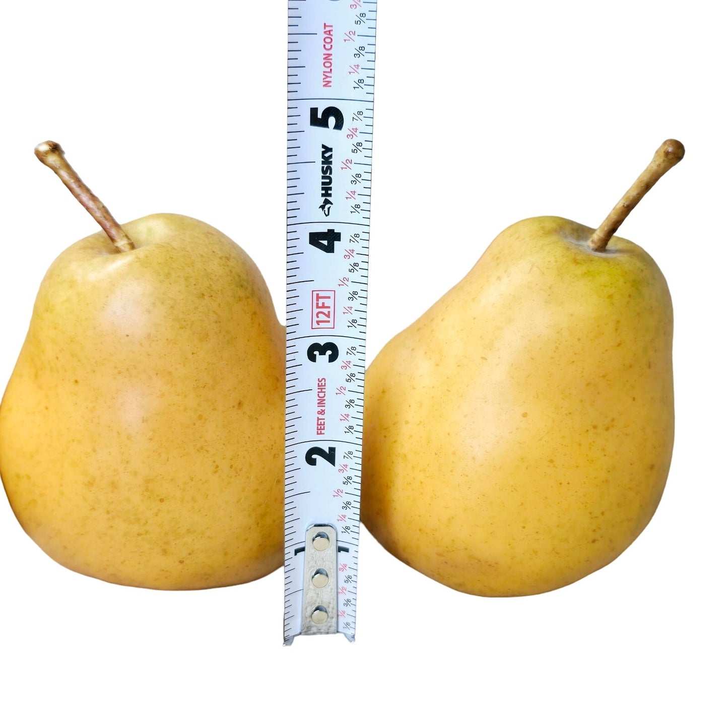 Set of 3 Bosc Heavy Realistic Faux Staging Pears