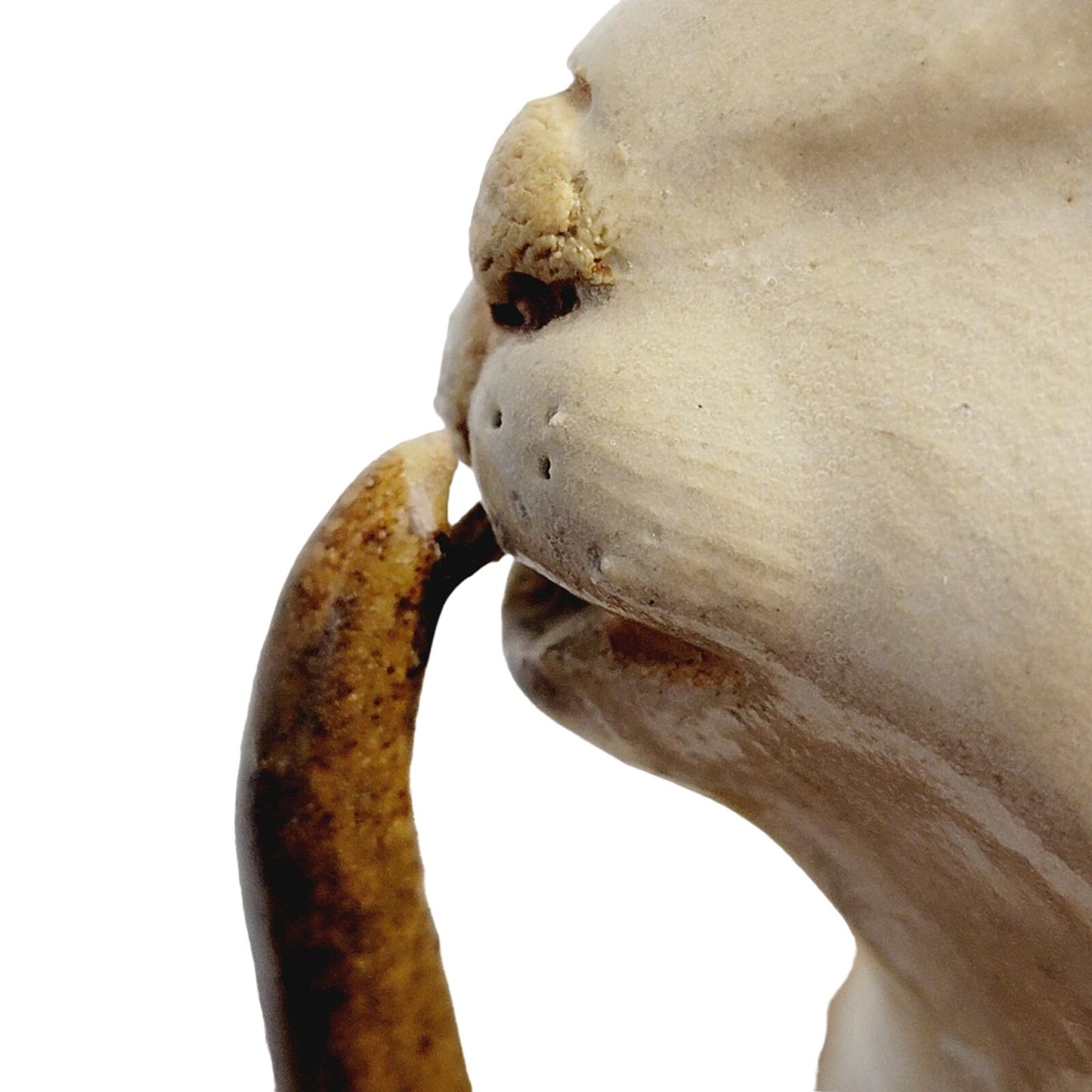 Vtg Signed Asian Rabbit Figurine Playing Long Horn Pottery Seal Mark MCM 8.5"