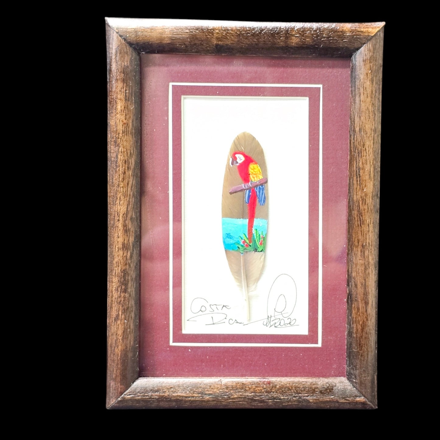 Original Parrot Painting on Feather Costa Rica Artist Signed Framed