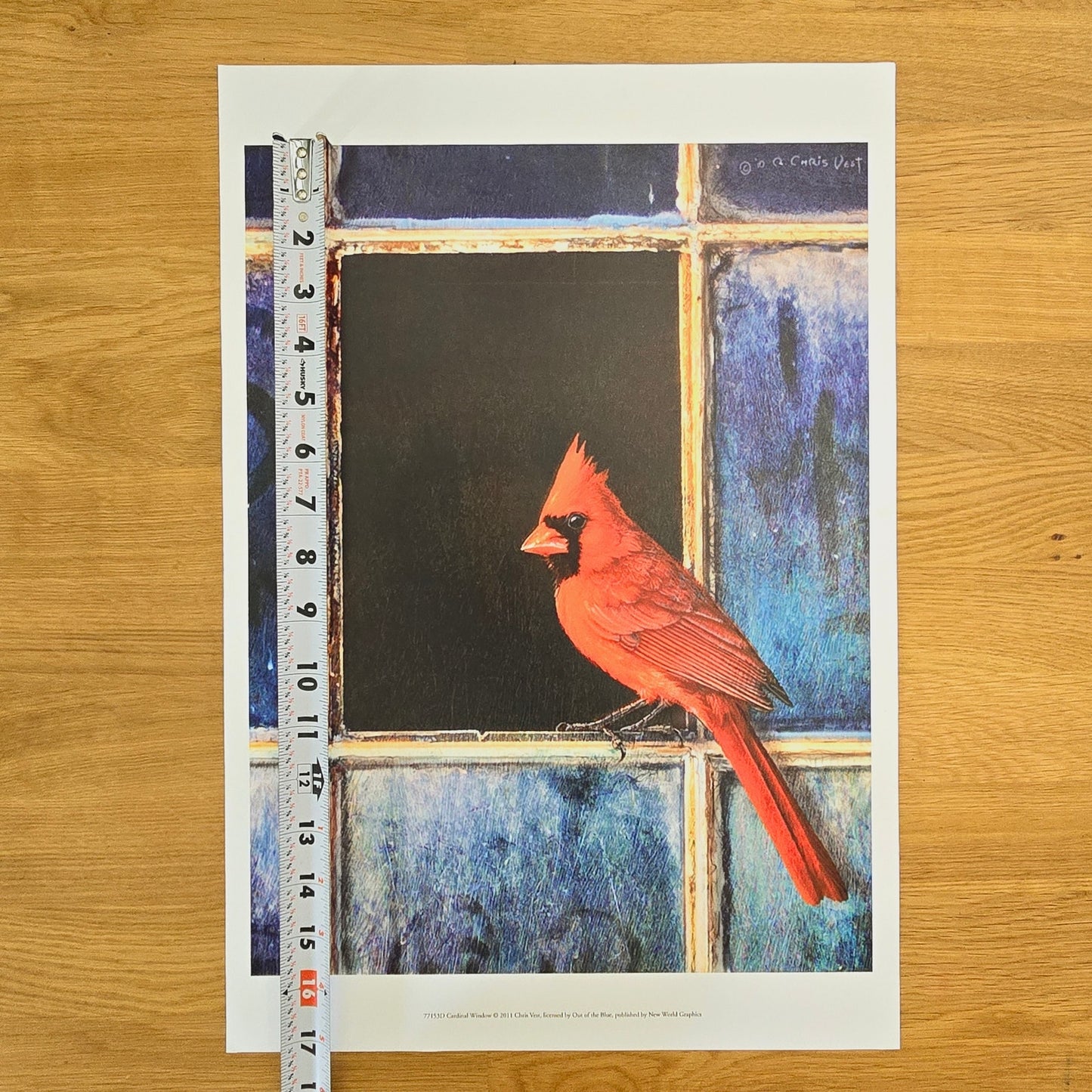 16x12 Red Bird Art Print: Cardinal Window, 2011 Chris Vest, New World Graphics