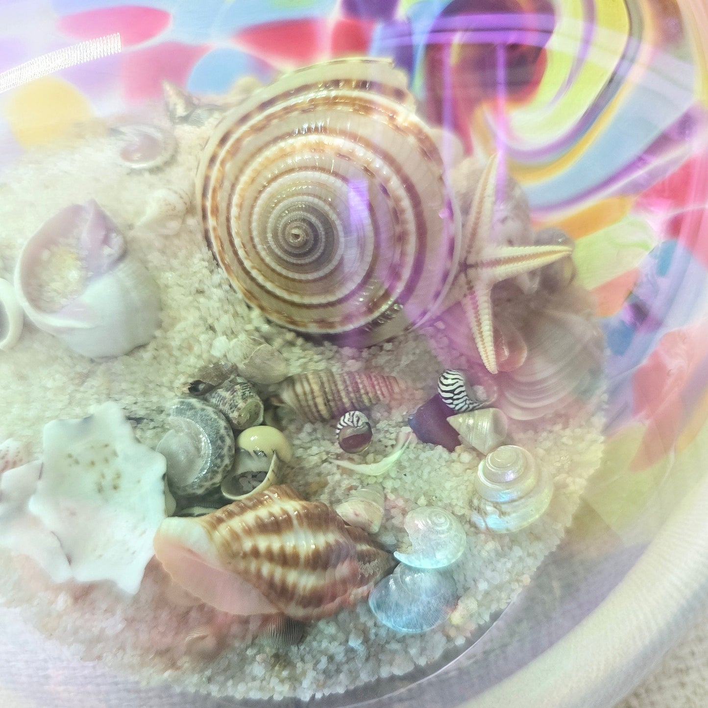 Glass Eye Studios Seashell & Sand Globe Paperweight