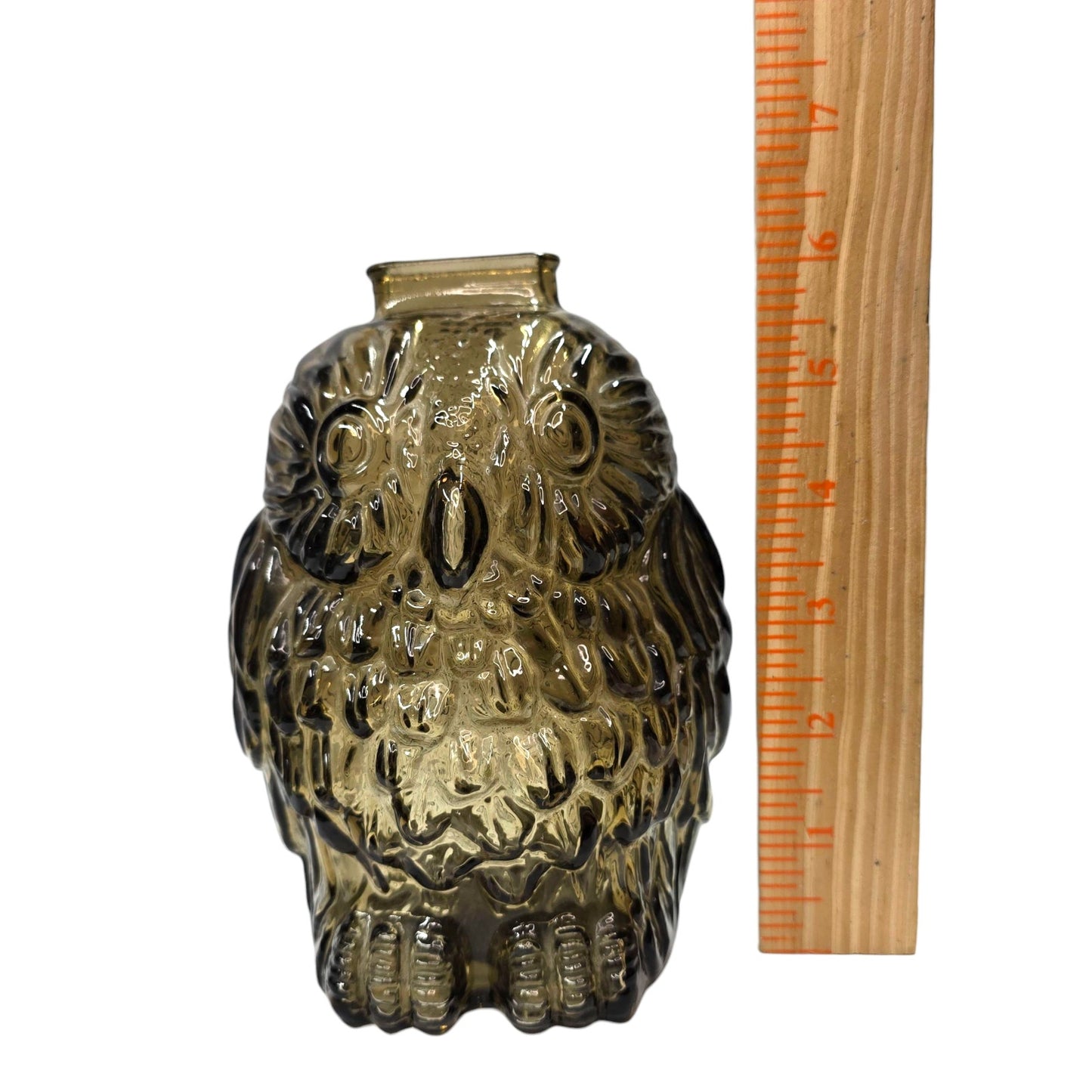 Vtg Anchor Hocking Wise Old Owl Smoke Glass Smoky Topaz Gray Brown Coin Bank MCM