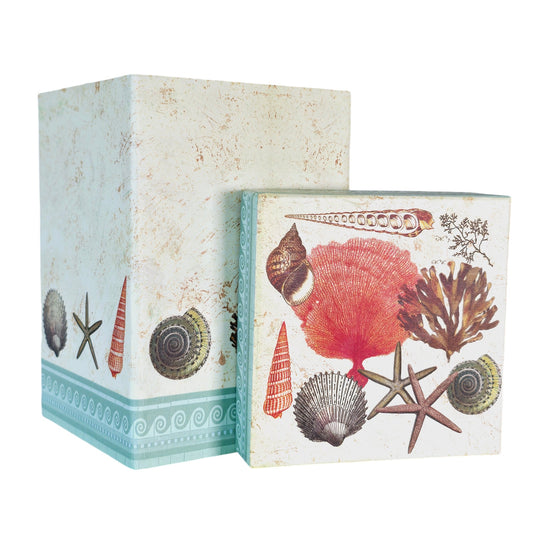 Seashell Decorative Gift Box with Lid