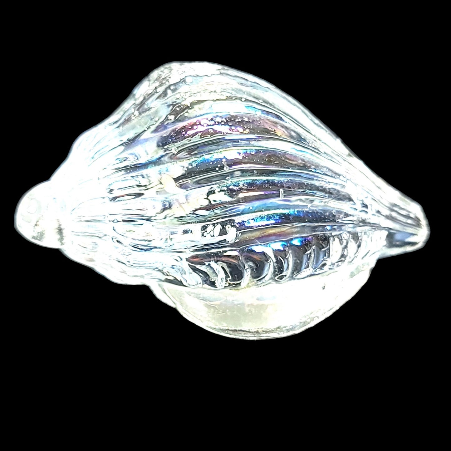 Hand Blown Iridescent Art Glass Sea Shell, Glass Conch Shell