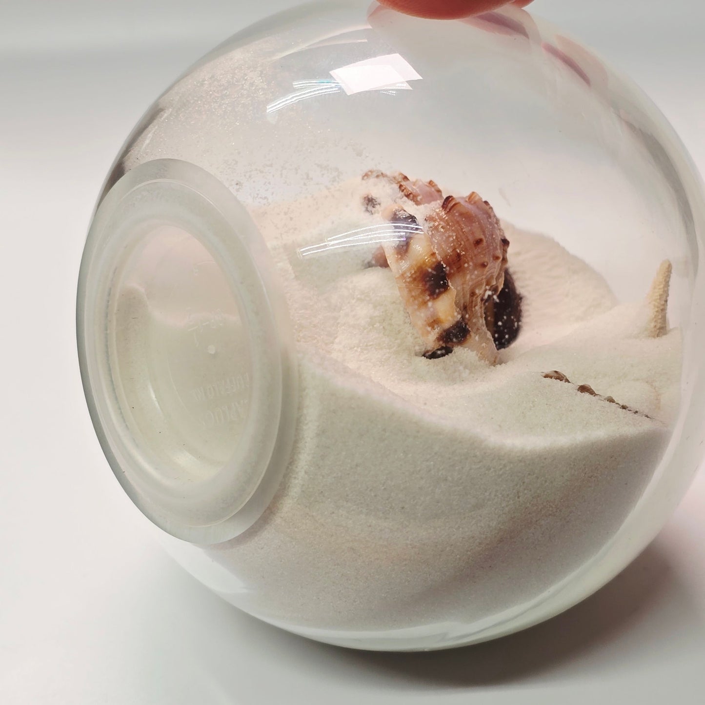 Sand and Shells Sandglobe Paperweight