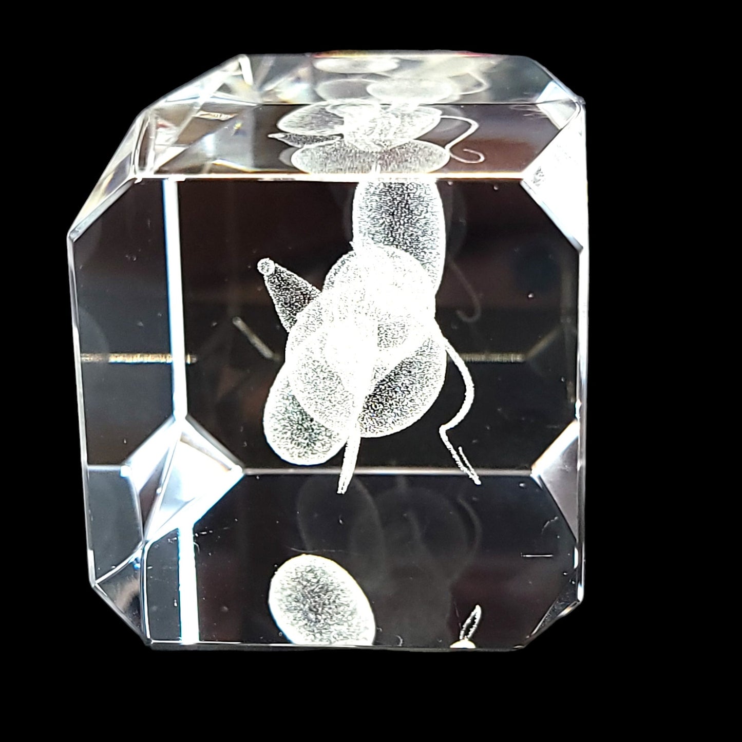 3D Laser Etched Mickey Mouse Crystal Paperweight in Box 3 x 2 x 2" Original Box