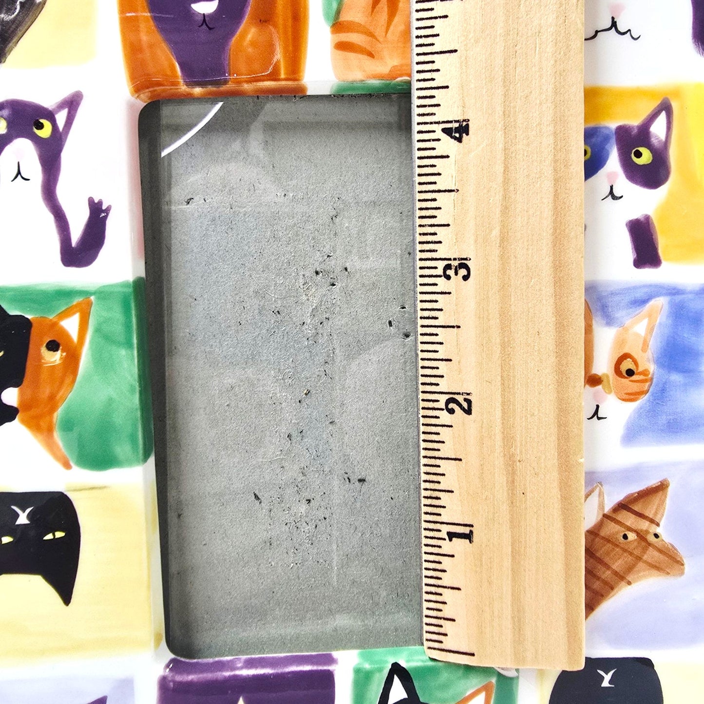 AS IS Colorful Cat Ceramic Picture Frame, Read