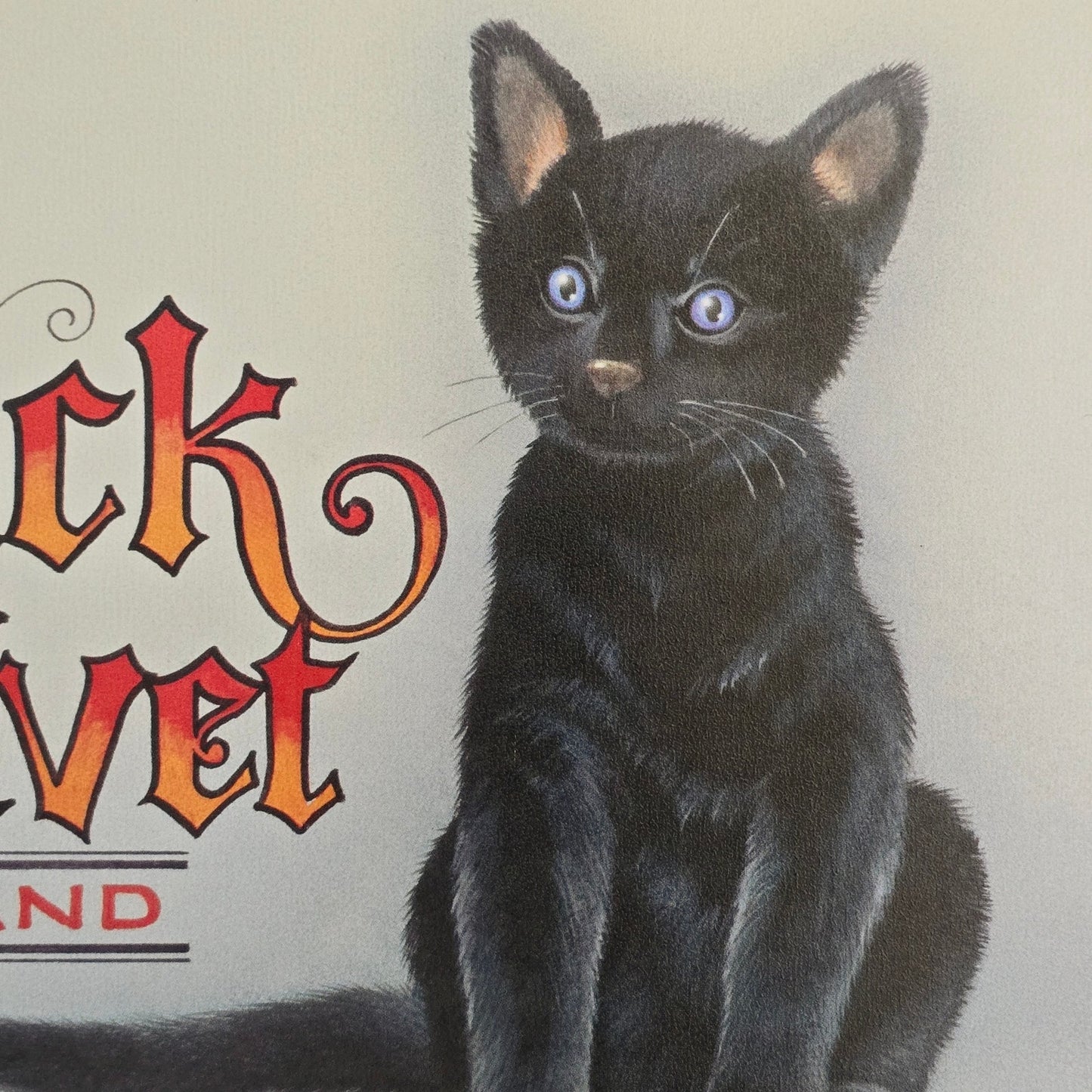 Vintage Black Velvet Brand Cat Food Metal Sign Advertisement 1998 Lynn Kaatz