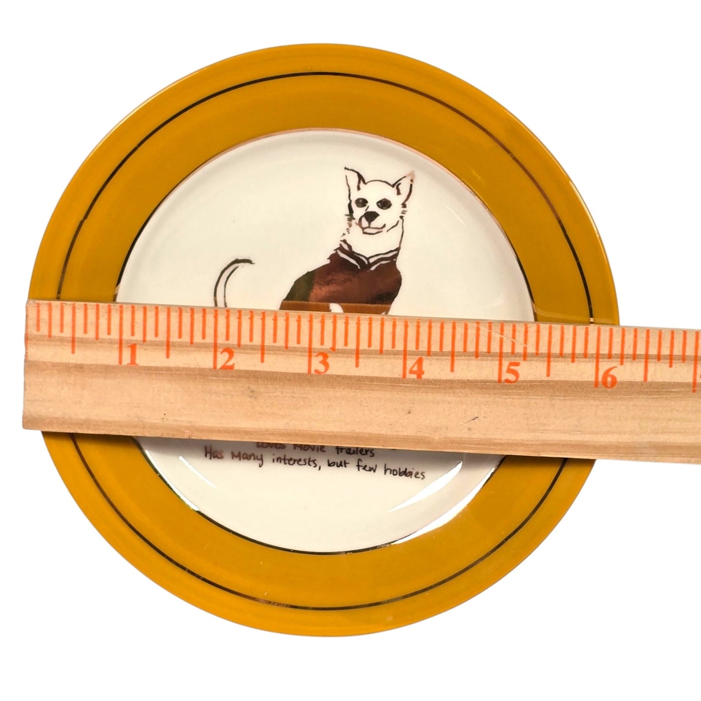 Anthropologie Emily Isabella Dog Biography Plate Walter Catch All Gallery Wall