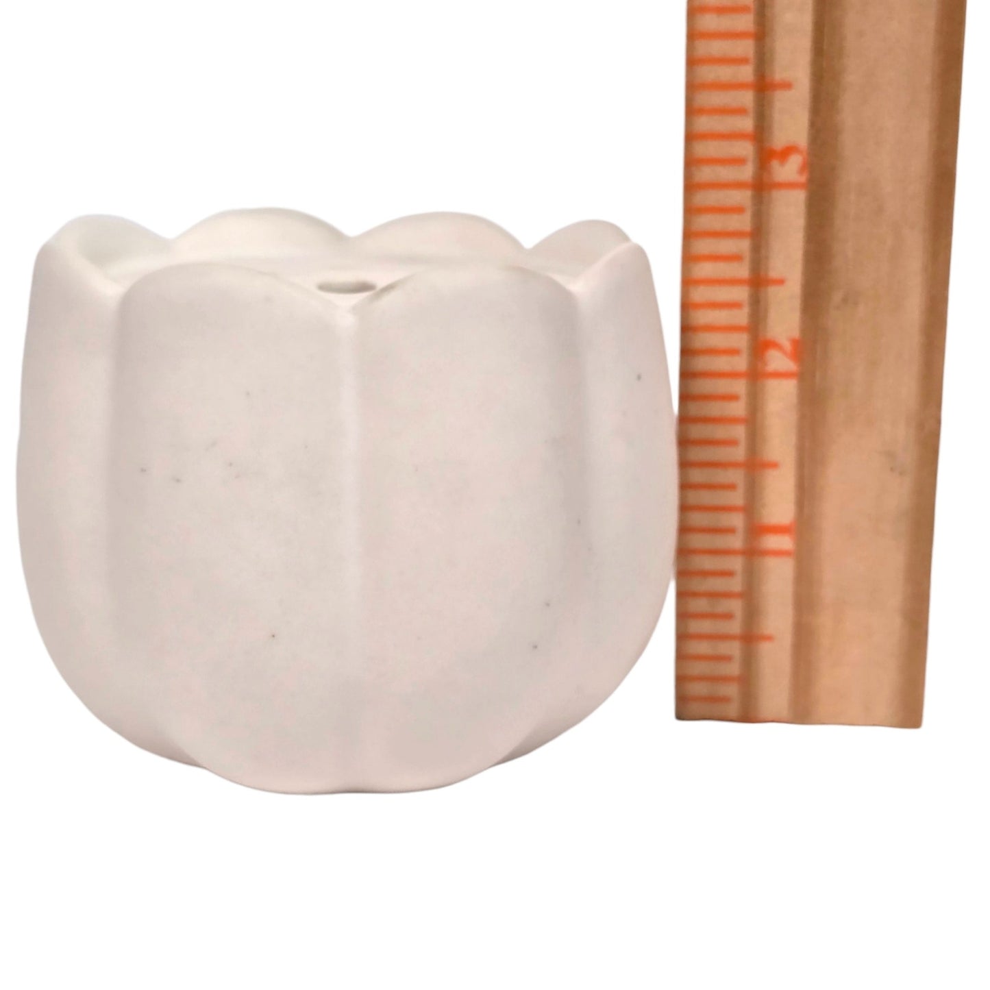 The Floral Society Ceramic Flower Frog Vase Matte White Scalloped Flower 3.5"