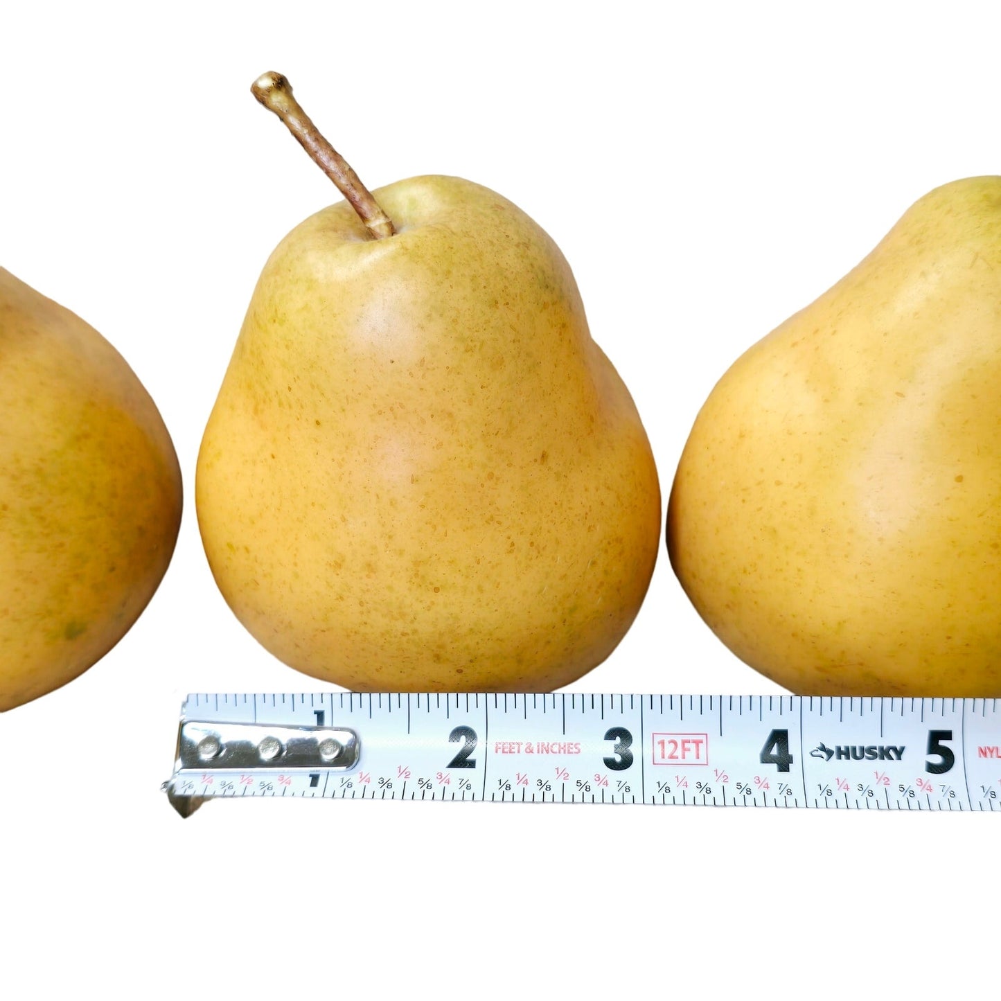 Set of 3 Bosc Heavy Realistic Faux Staging Pears