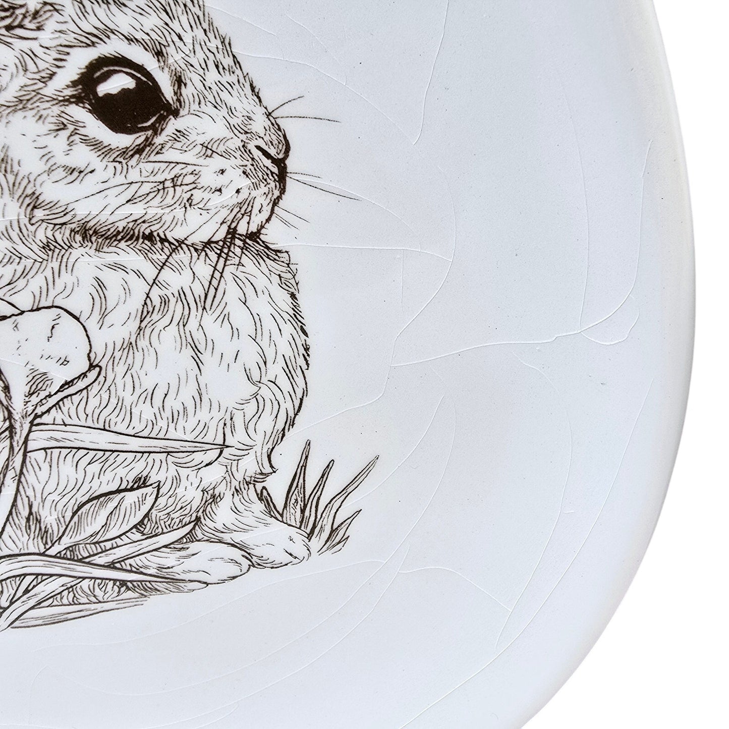 Set of 2 Decorative Bunny Plates with Sketch Brown Bunny with Tulips by Burton & Burton CRAZED