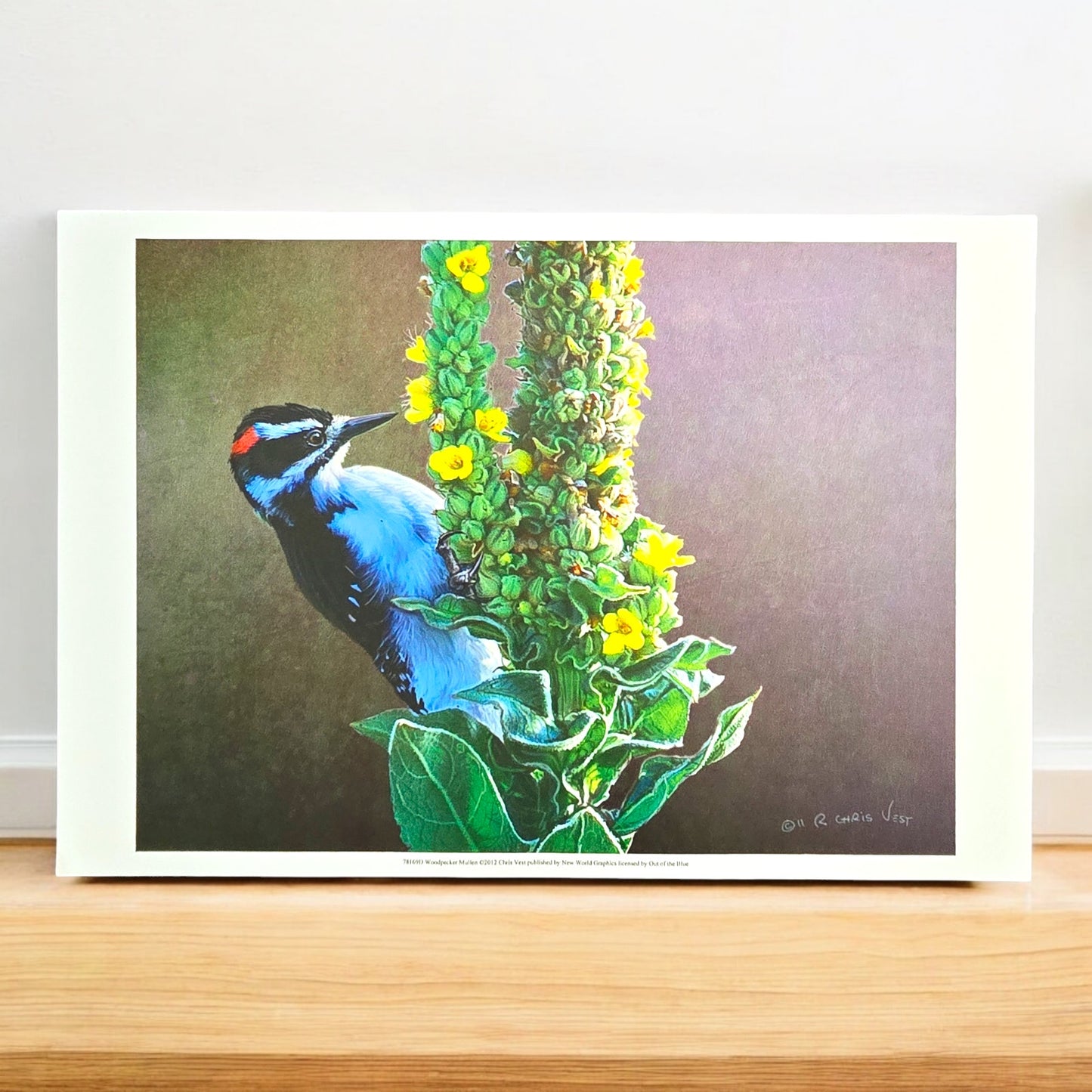 16x12 Bird Art Print: Woodpecker Mullen, 2012, Chris Vest, New World Graphics