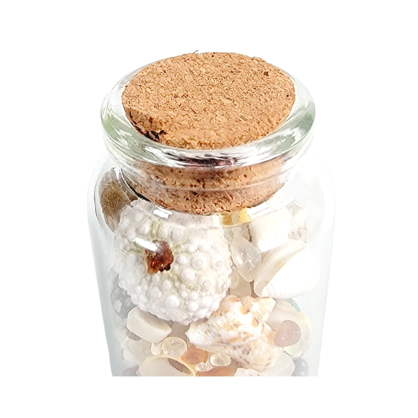 Tiny Shells and Sea Glass in Tiny Jar, Made in California