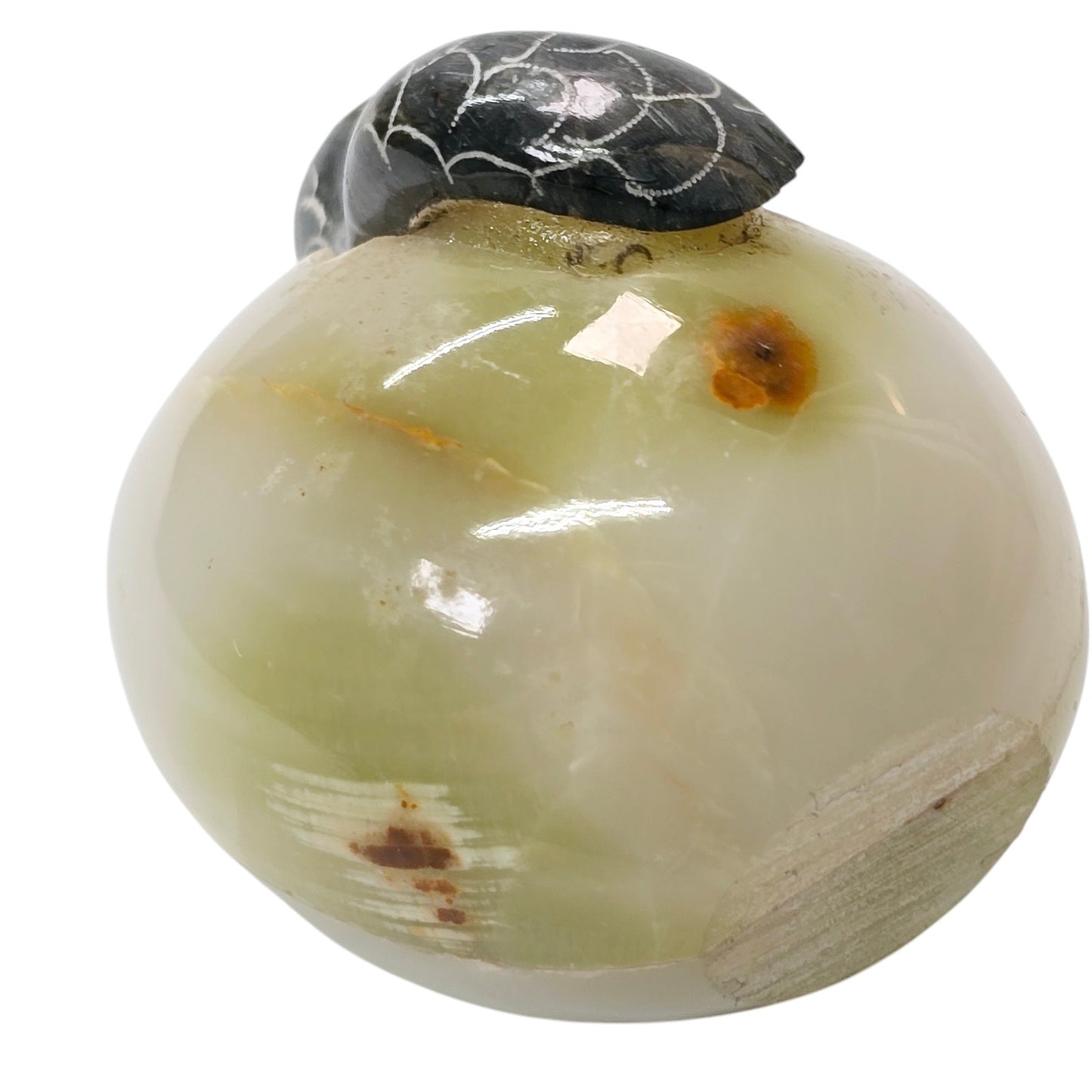 Natural Carved Stone Sea Turtle Egg Figurine Onyx Marble Baby Hatching