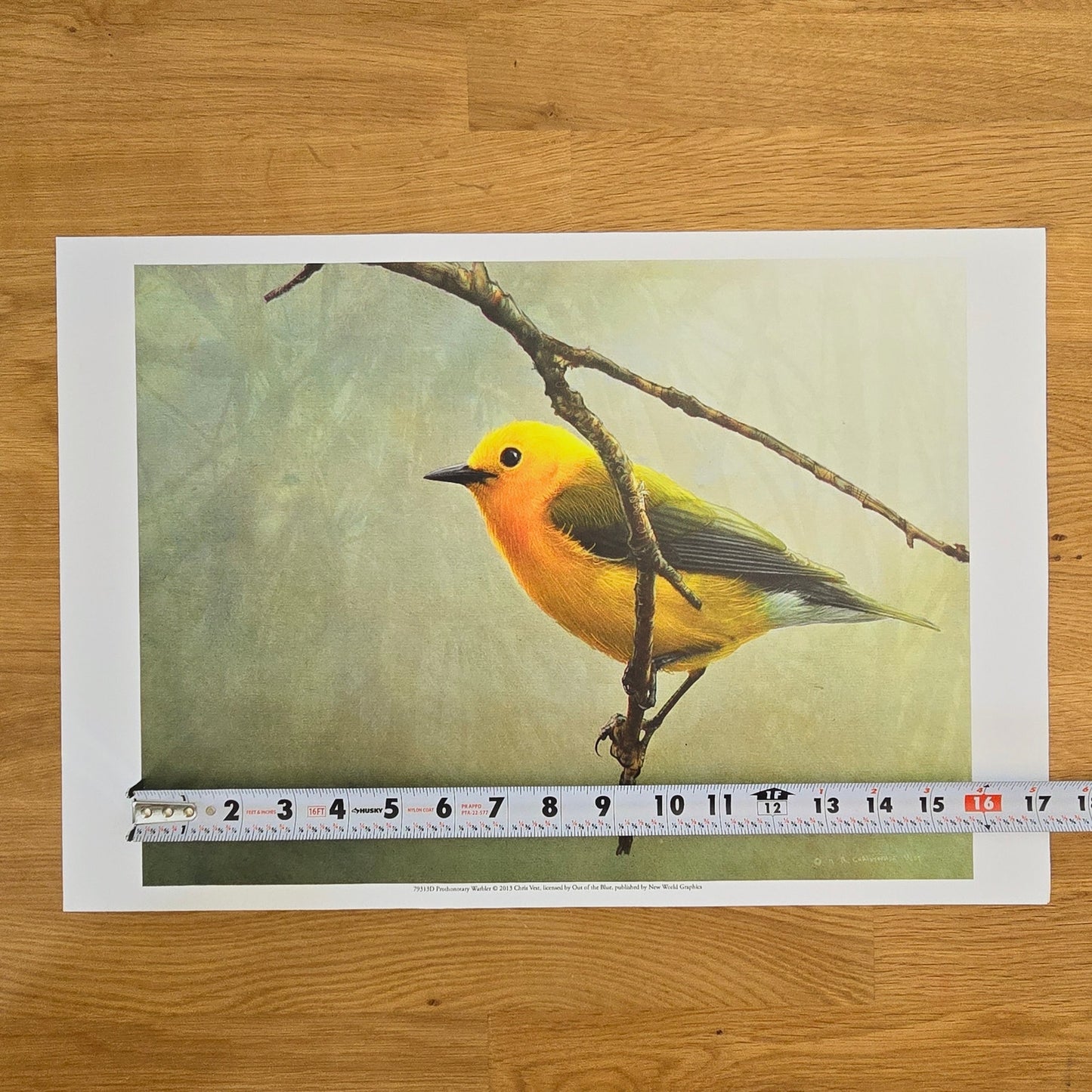 16x12 Bird Art Print: Prothonotary Warbler, 2013 Chris Vest, New World Graphics