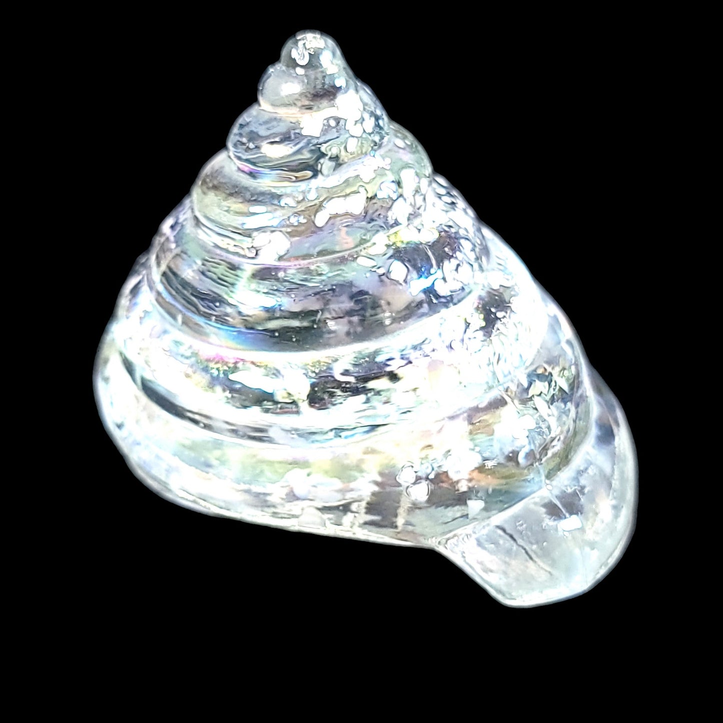 Hand Blown Iridescent Art Glass Sea Shell, Glass Cone Shell 3" x 3"