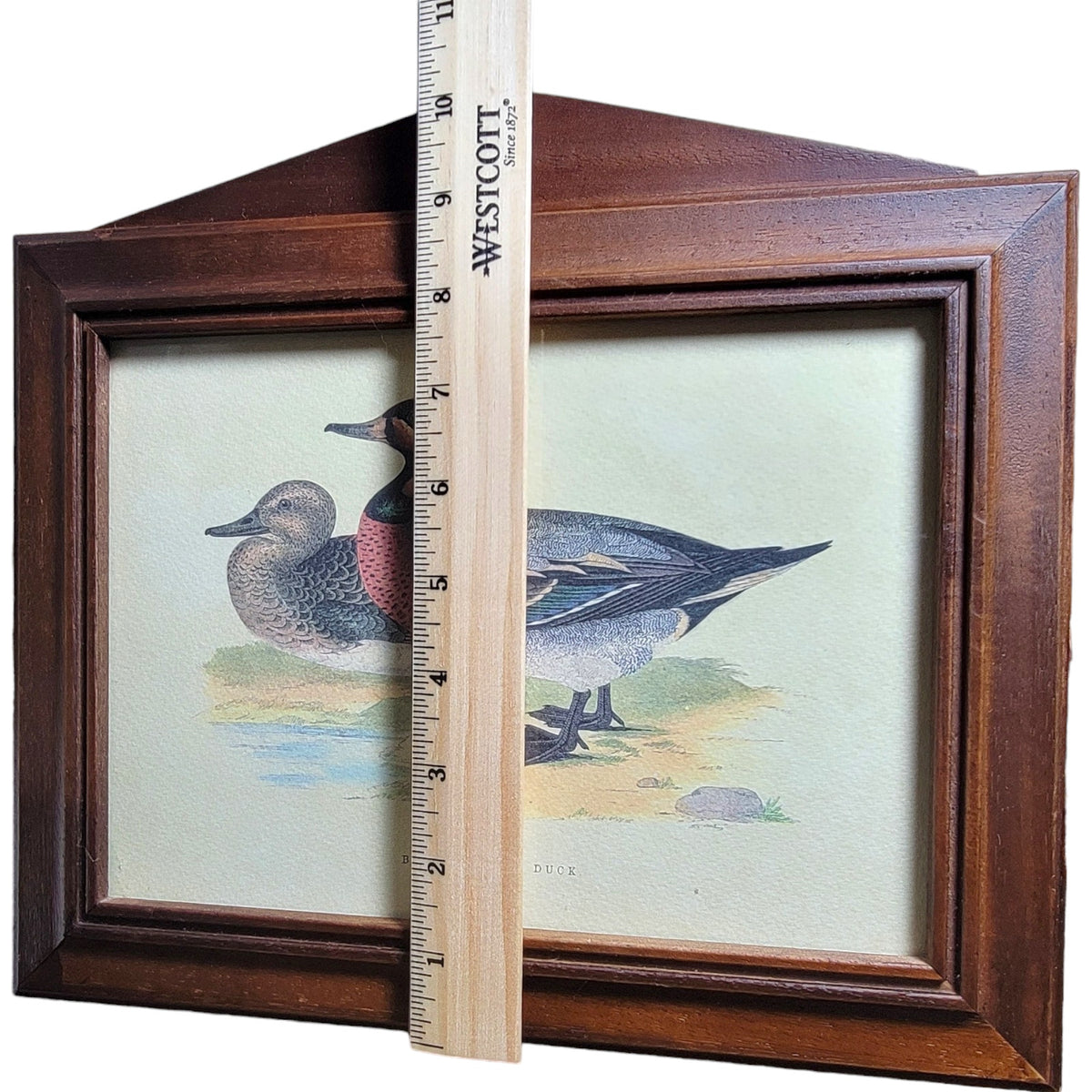 Italian Wood Handcrafted Bimaculated Duck Wall Mount Key Cabinet