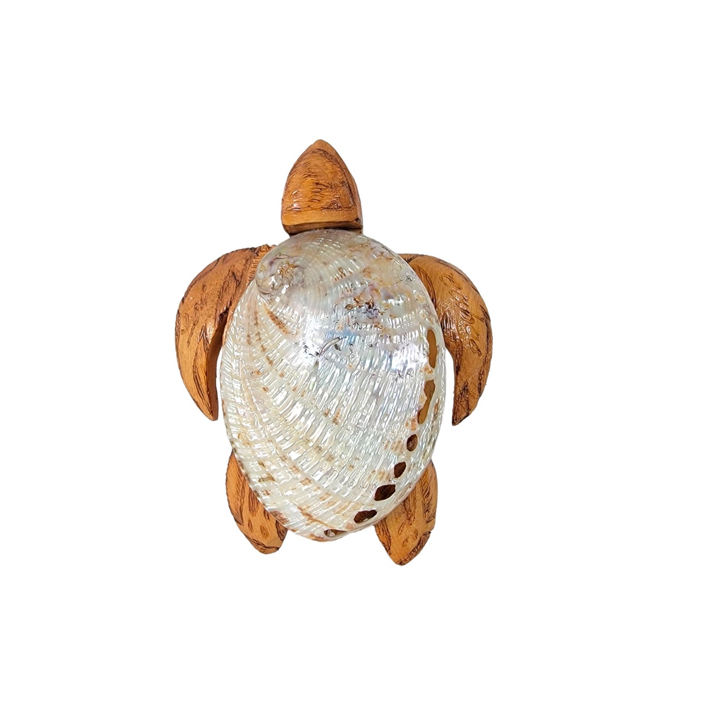 Abalone Shell and Carved Wood Turtle