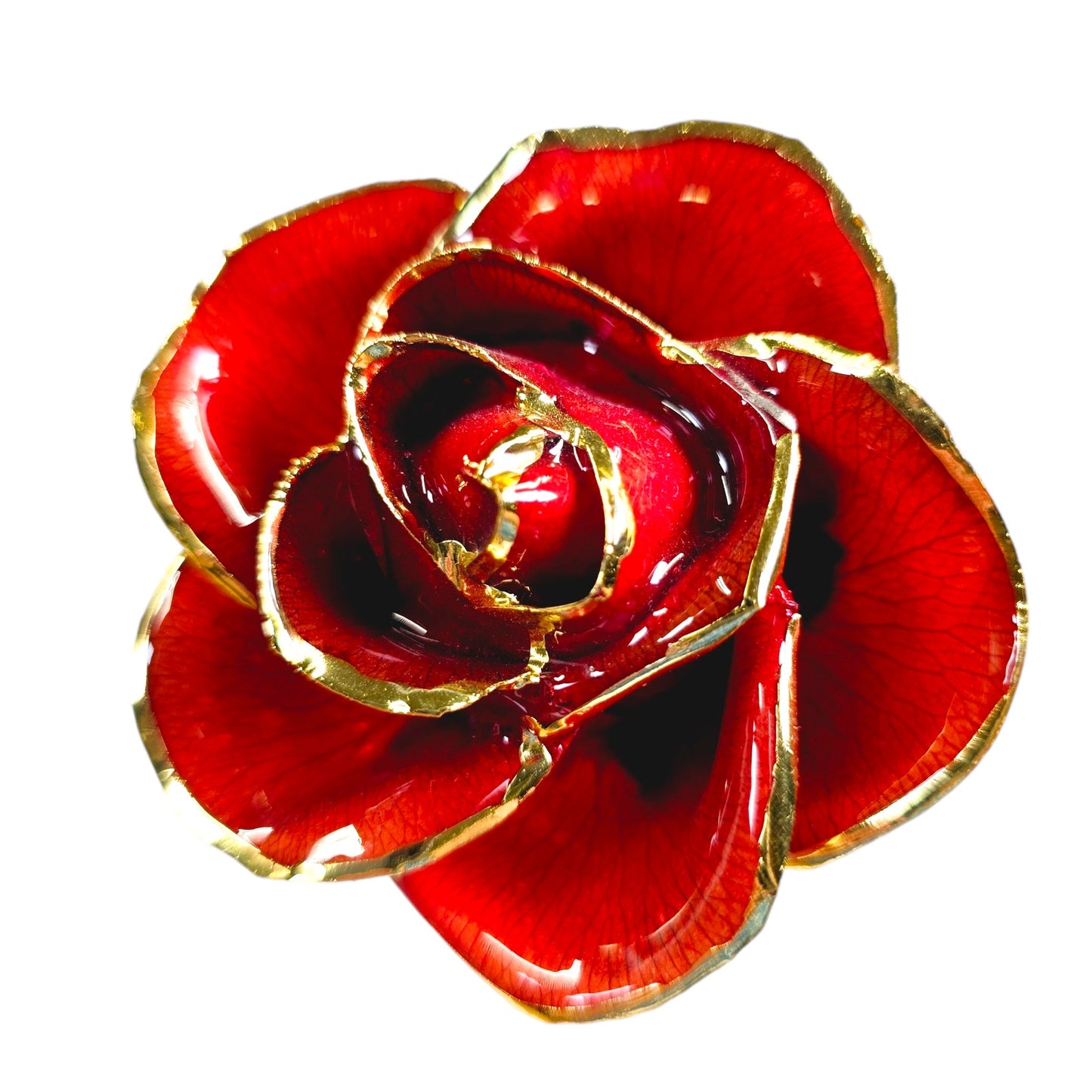 Real Rose Dipped in 24K Gold by Living Gold USA, Red Rose