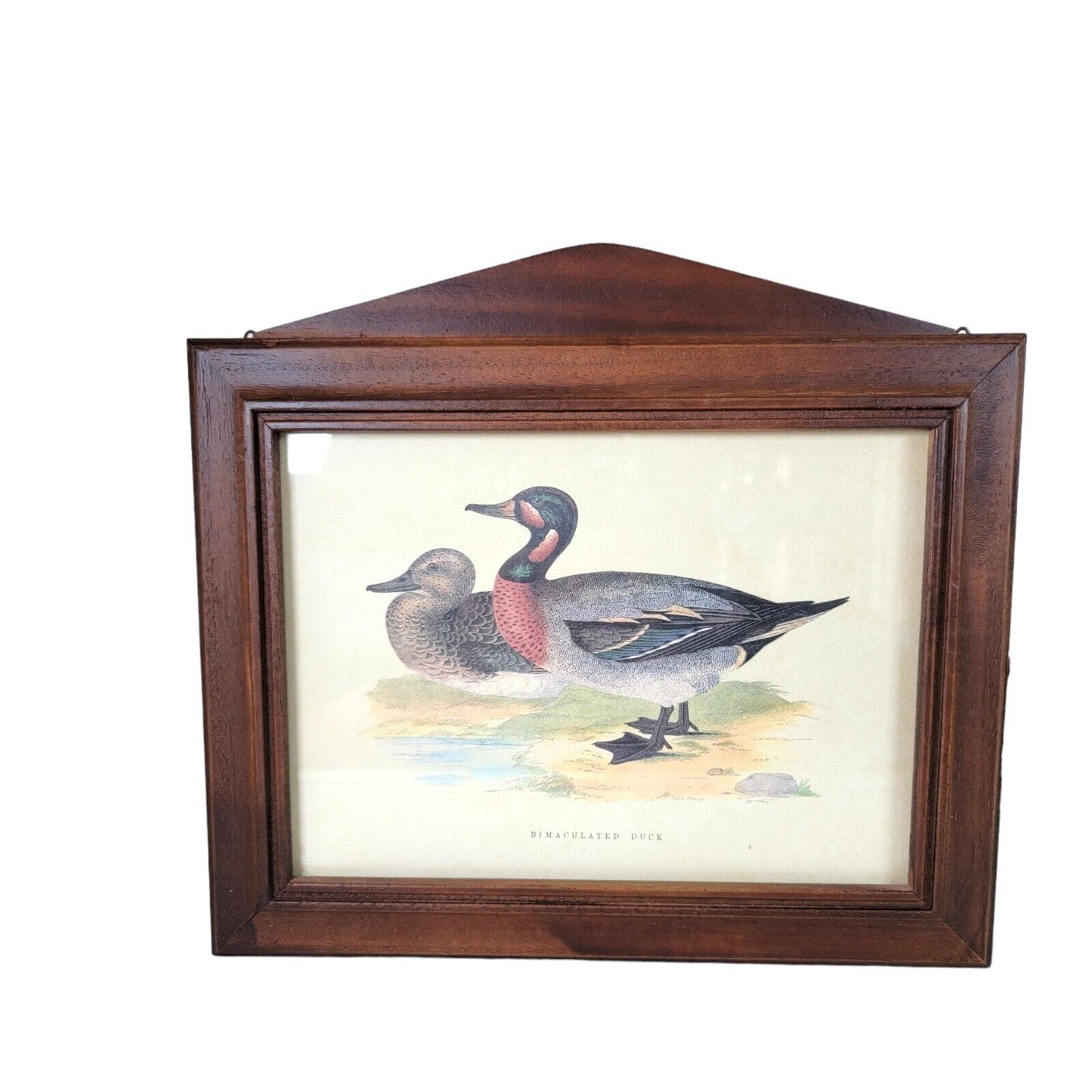 Italian Wood Handcrafted Bimaculated Duck Wall Mount Key Cabinet