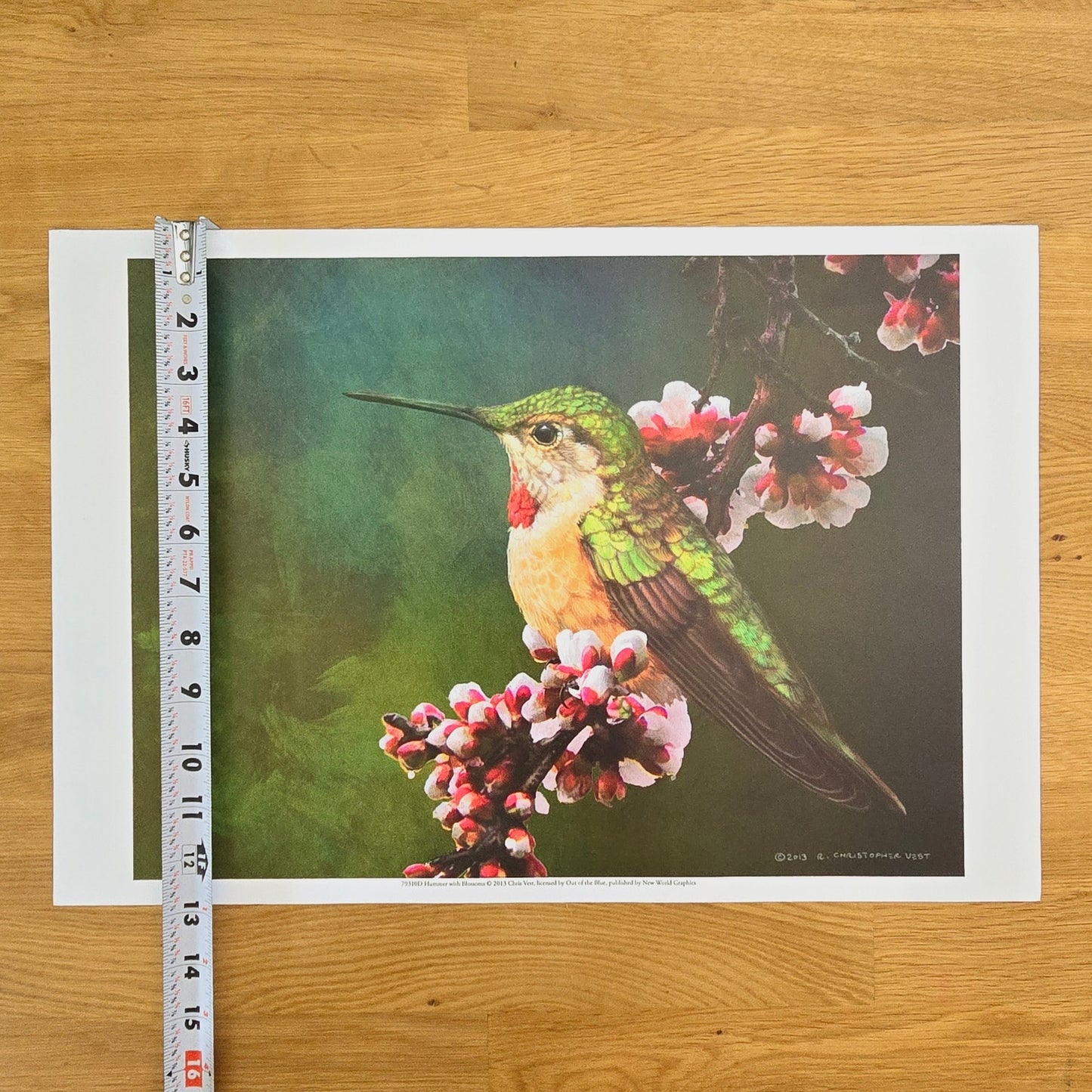 16x12 Bird Art Print: Hummer with Blossoms, 2013 Chris Vest, New World Graphics