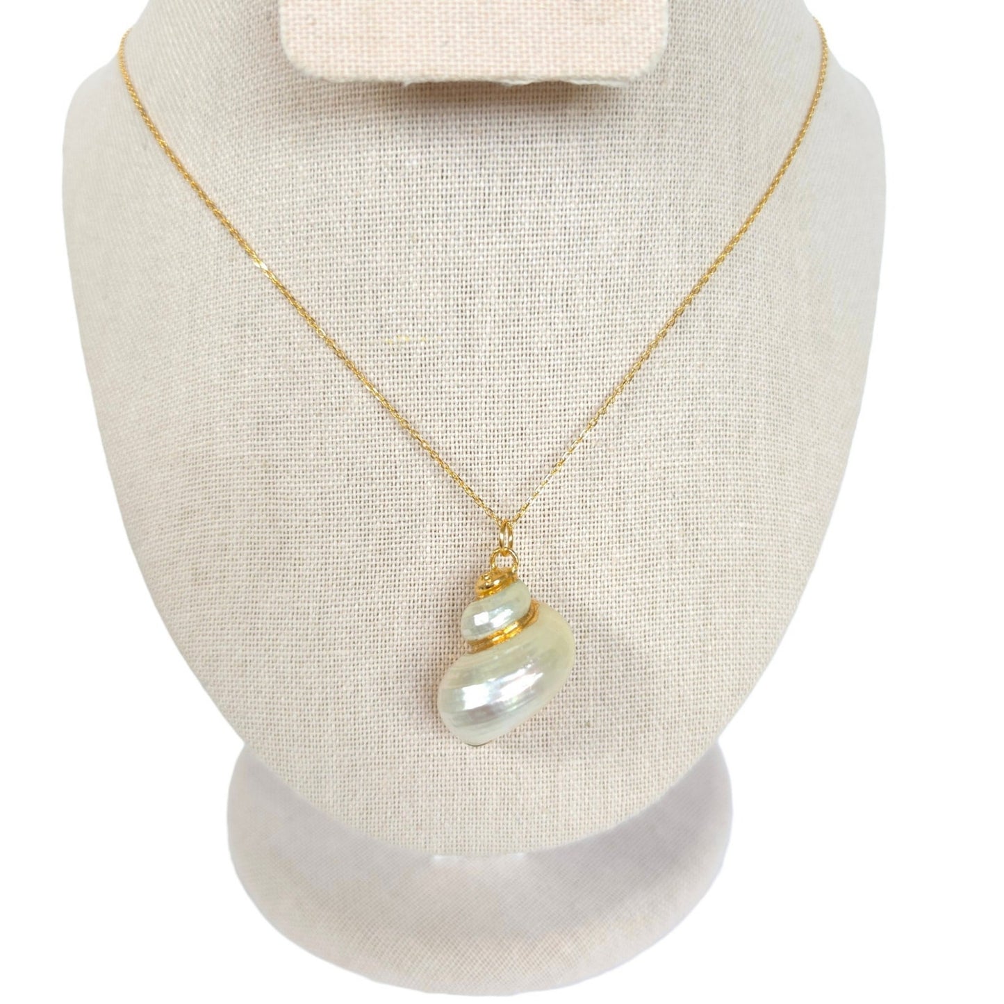 Vintage Gold Electroplated Turbo Shell Pendant Necklace 18 in 925 Chain