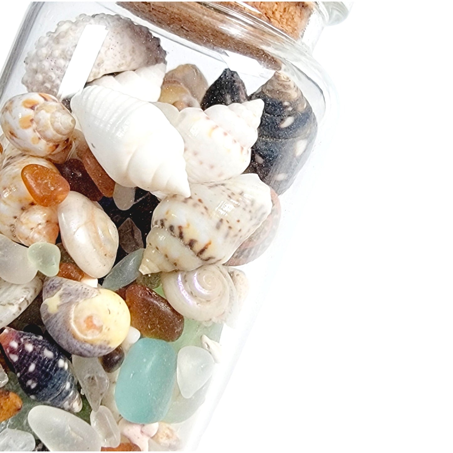 Tiny Shells and Sea Glass in Tiny Jar, Made in California