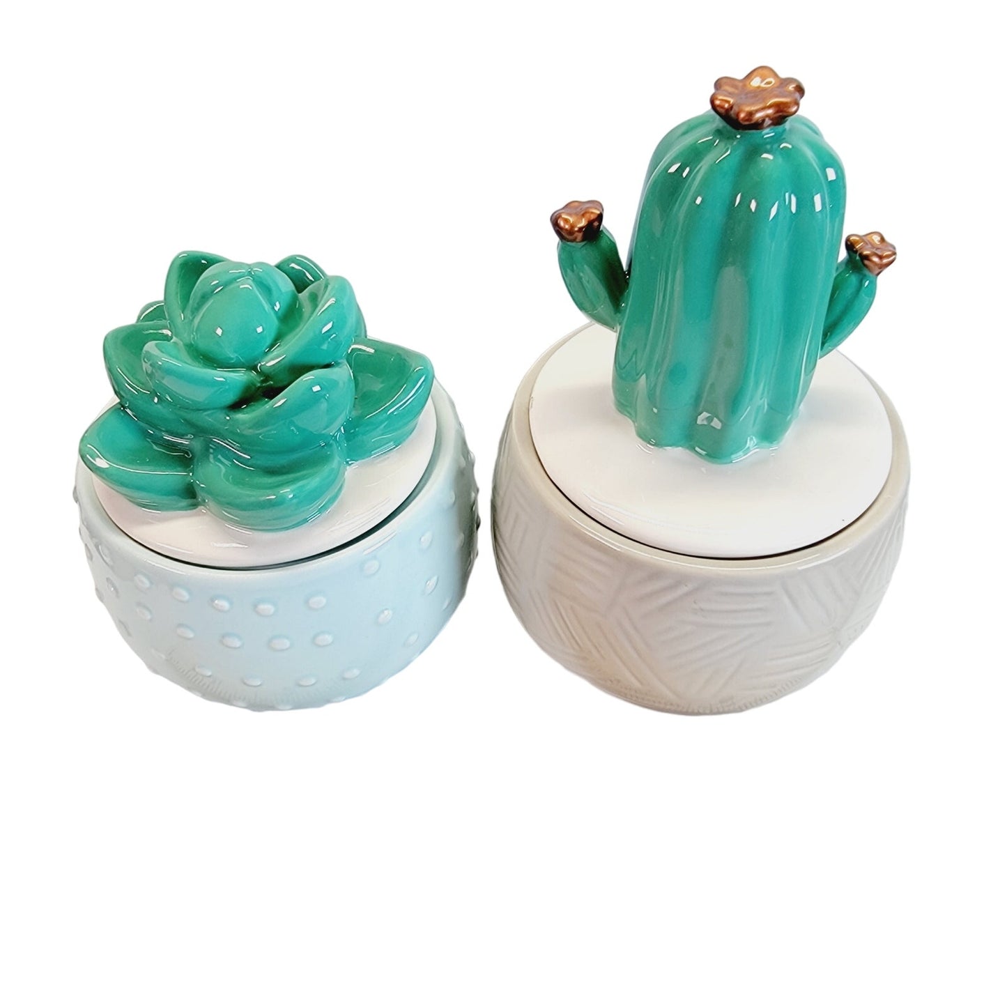 Set of 2 Cactus Trinket Boxes / Storage Box, IQ Accessories