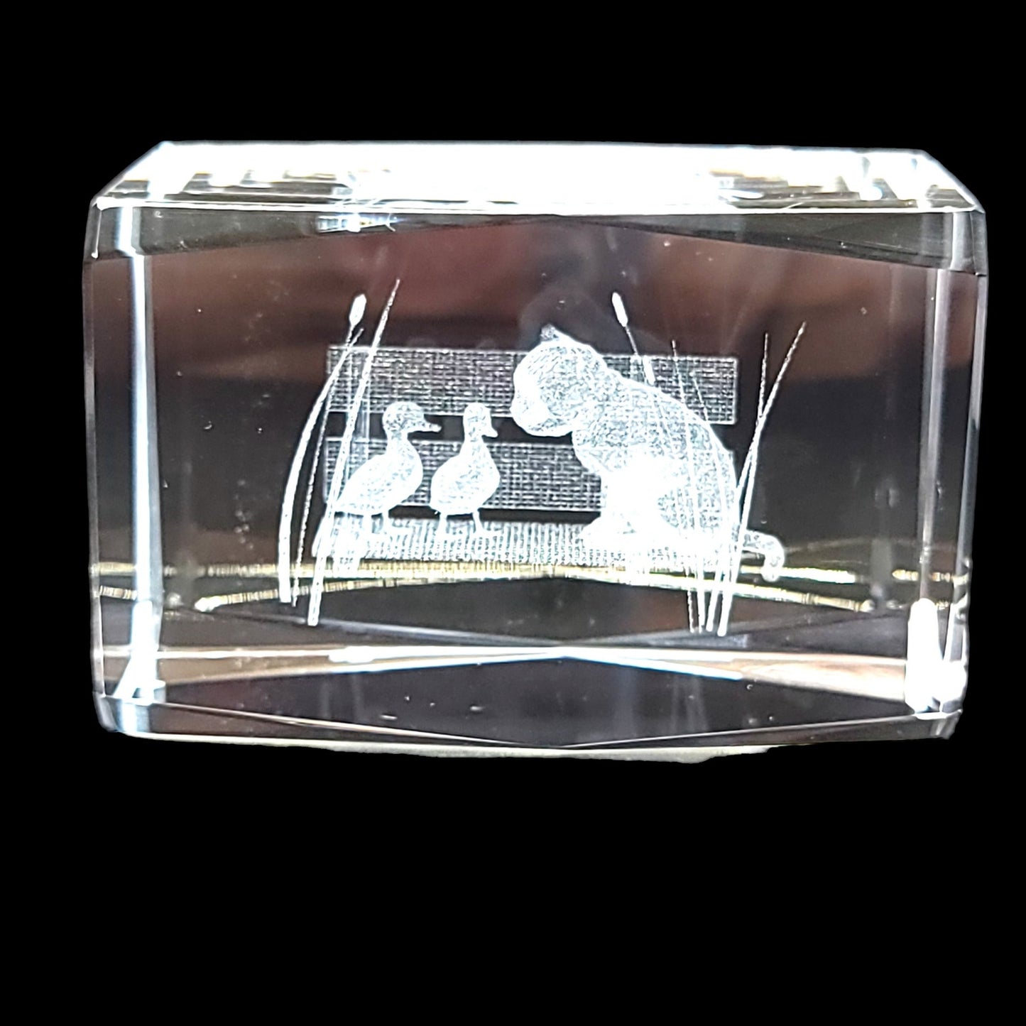 3D Laser Etched Cat on Bench with Ducks Crystal Paperweight in Box 3 x 2 x 2" Original Box