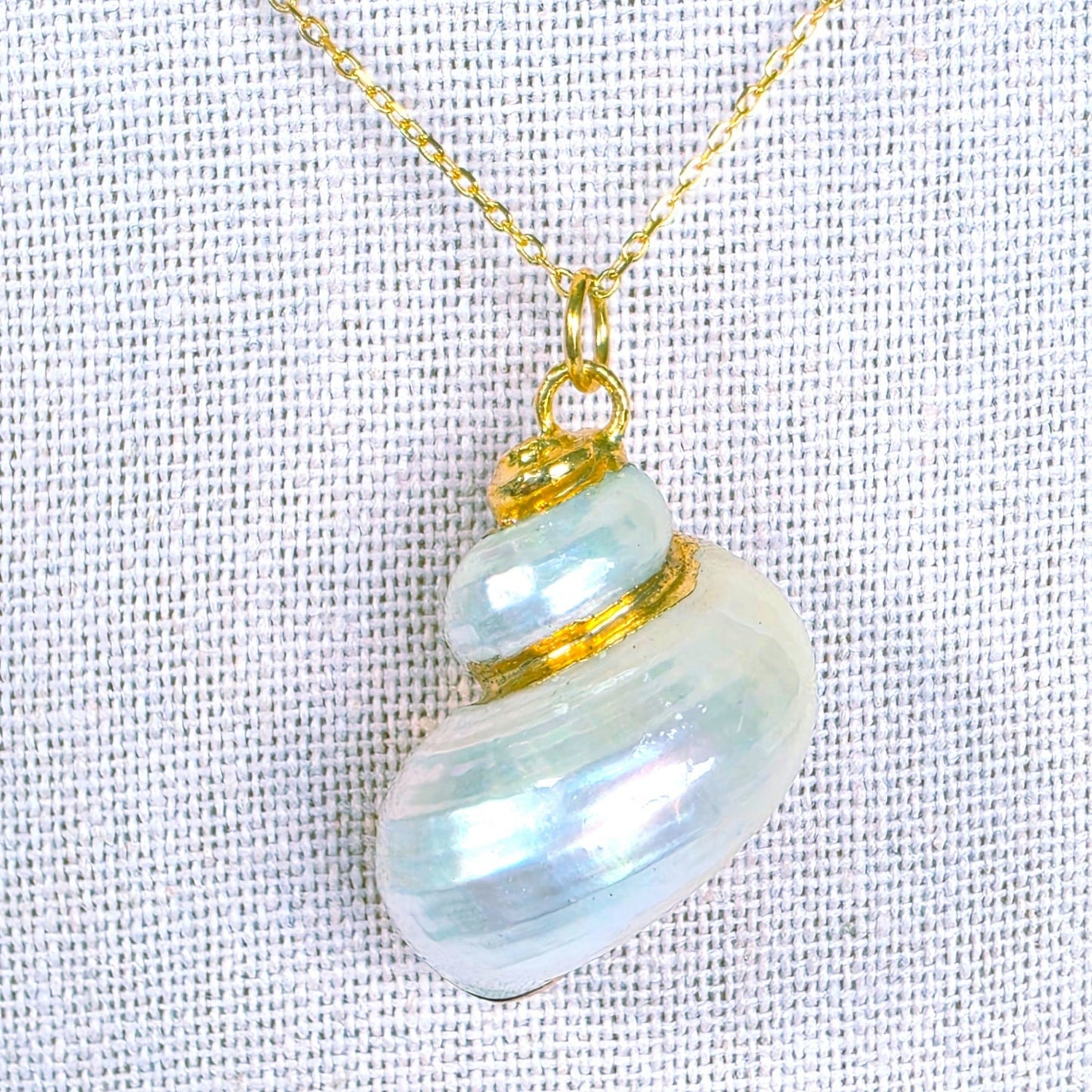 Vintage Gold Electroplated Turbo Shell Pendant Necklace 18 in 925 Chain