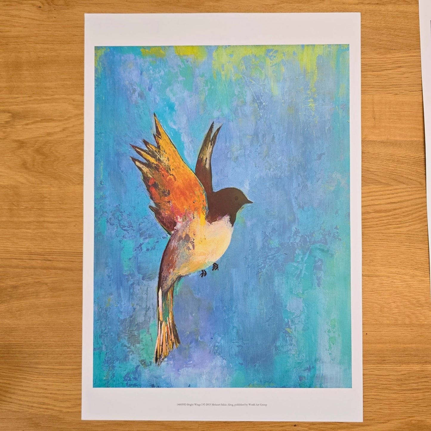 Two 16x12 Bird Art Prints: Bright Wings I & II 2015, Mehmet Sahin Altug