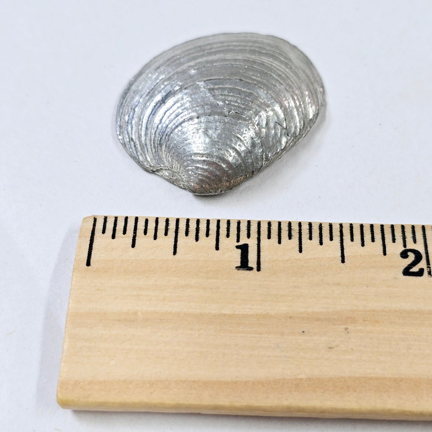 Set of 3 Pewter Metal Shells