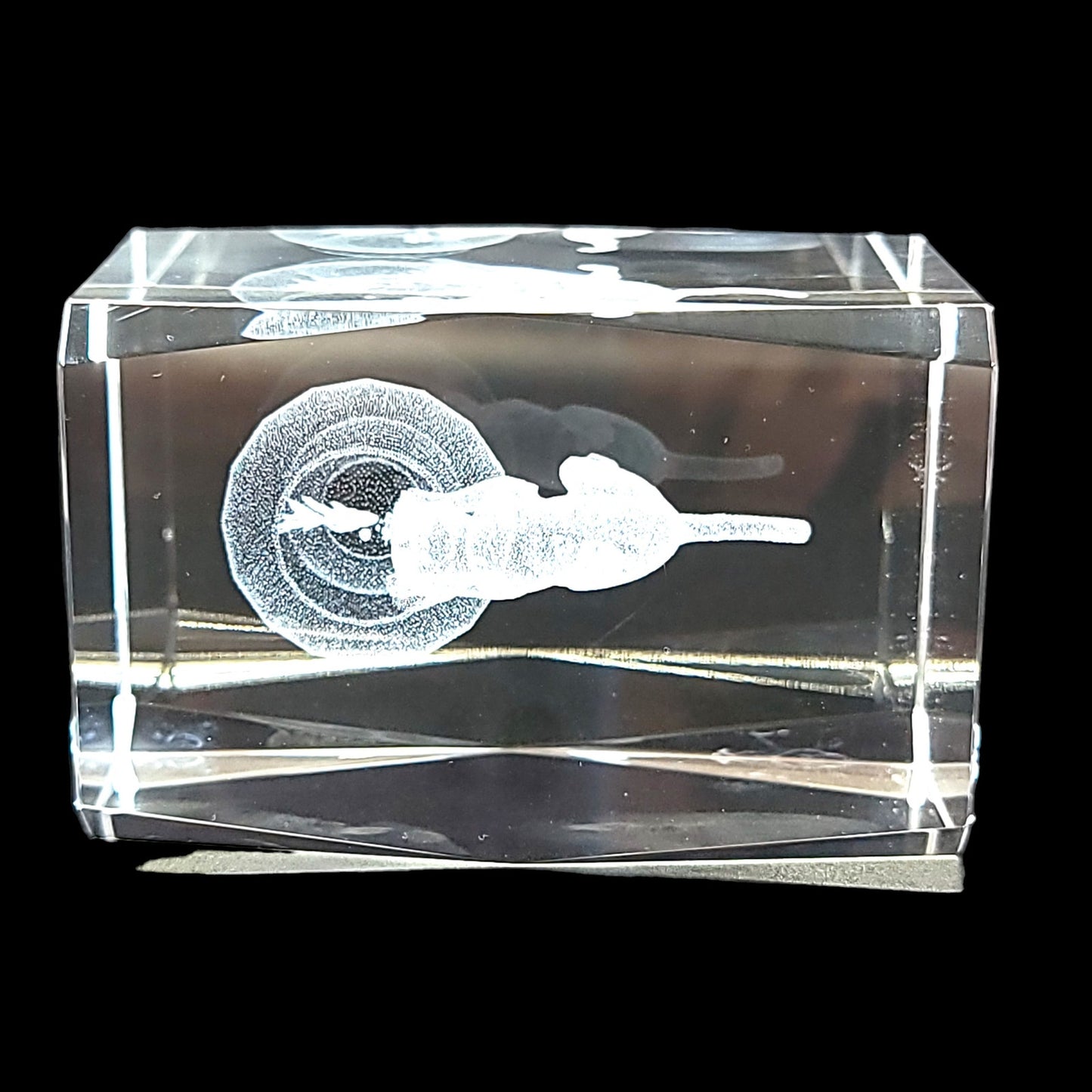 Cat Peering into Gold Fish Bowl 3D Laser Etched Crystal Paperweight in Box 3 x 2 x 2" Original Box