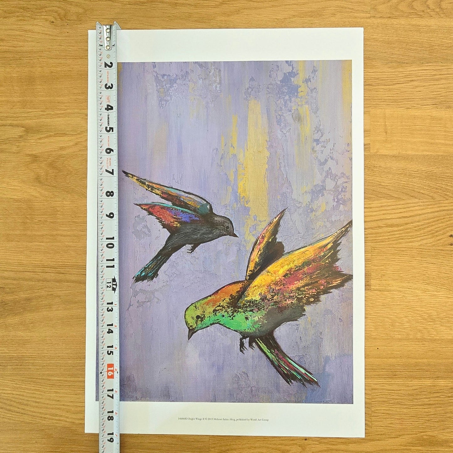 Two 16x12 Bird Art Prints: Bright Wings I & II 2015, Mehmet Sahin Altug