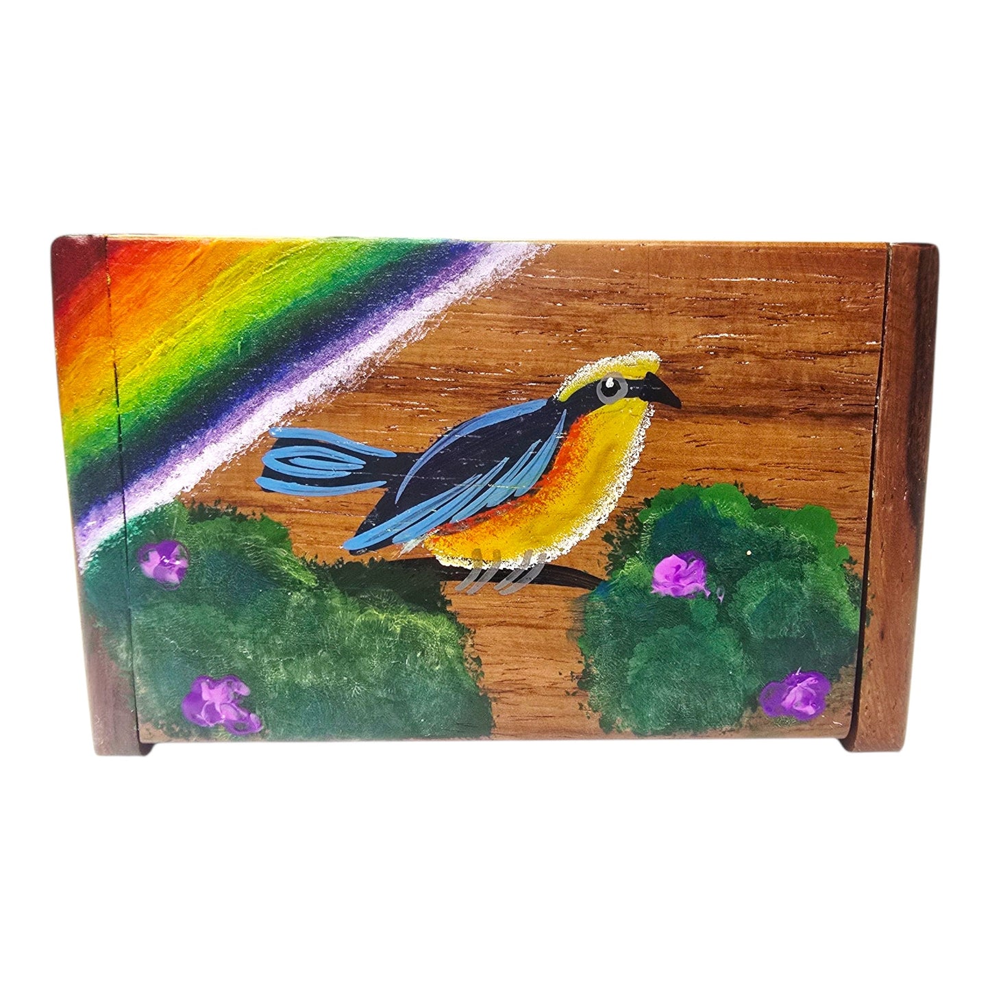Wood Hand-painted Trinket Treasure Box Bird Tree Rainbow Made in Costa Rica Read