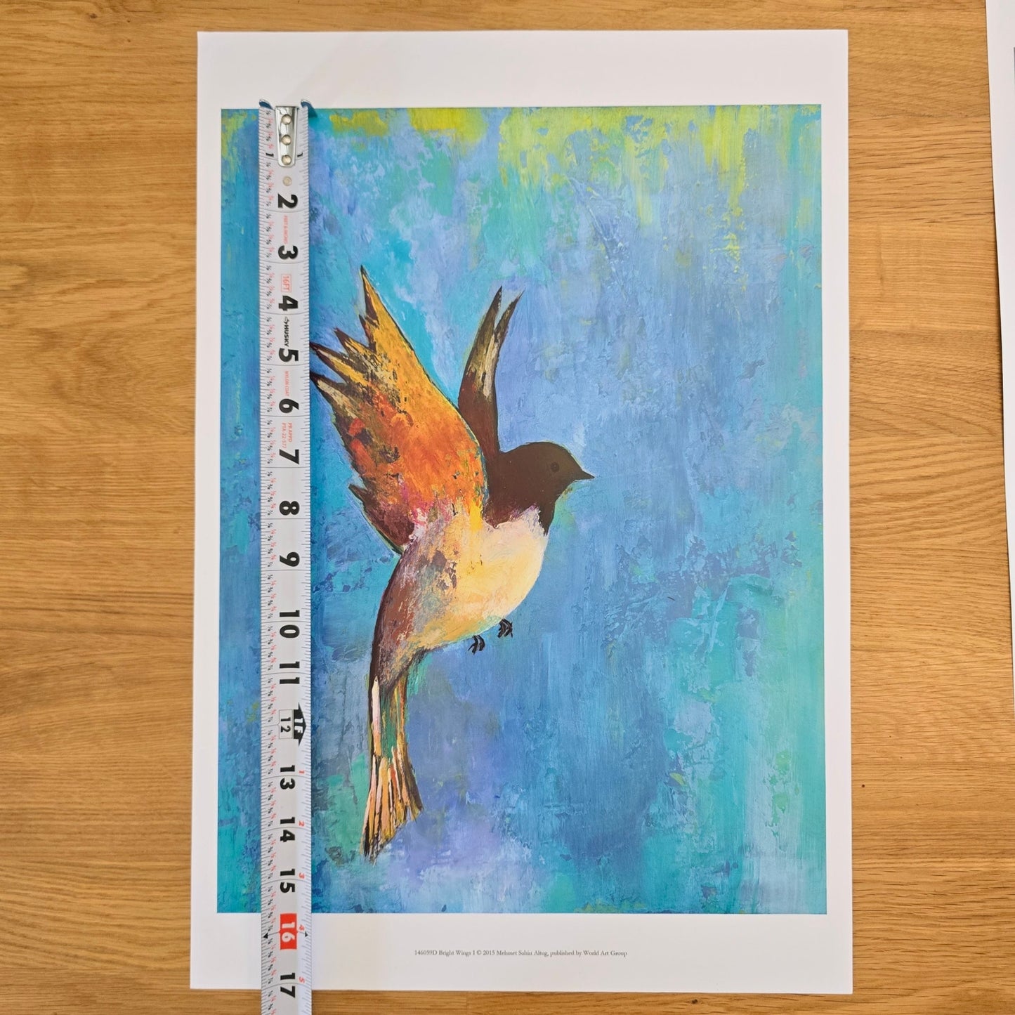 Two 16x12 Bird Art Prints: Bright Wings I & II 2015, Mehmet Sahin Altug