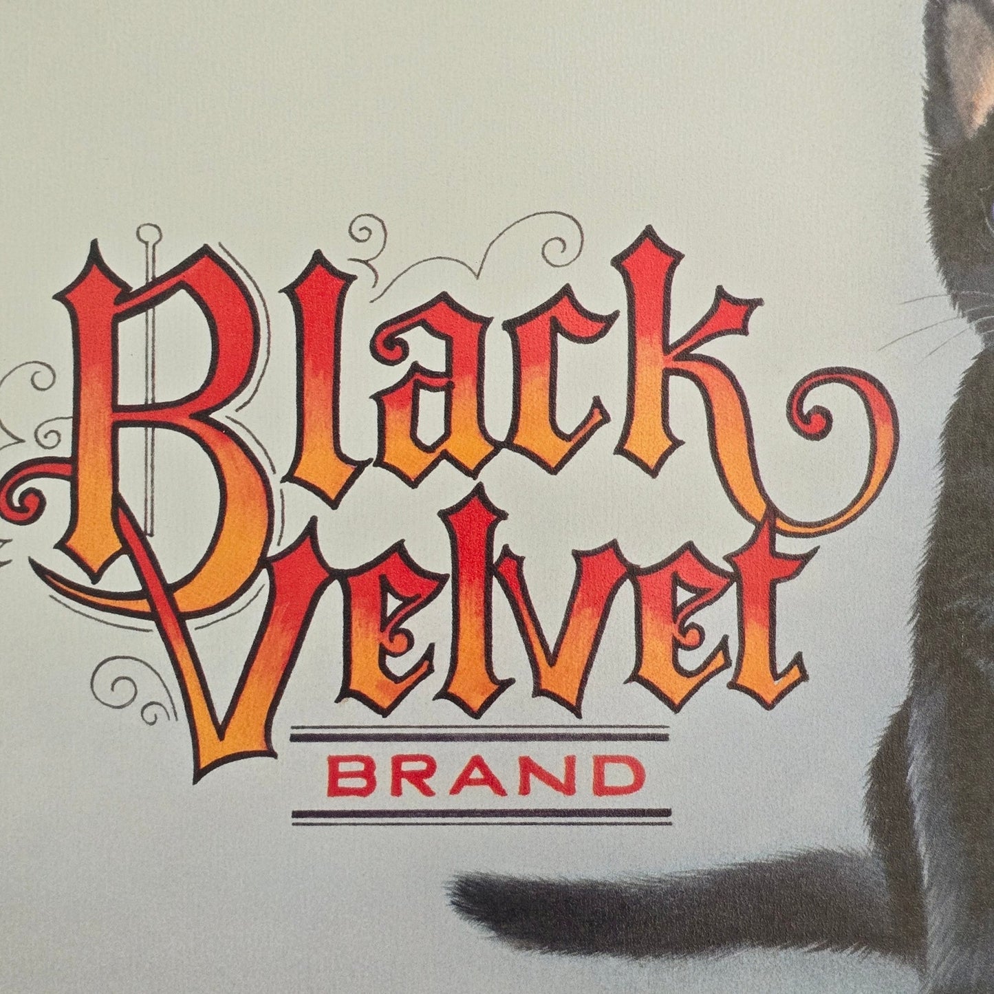 Vintage Black Velvet Brand Cat Food Metal Sign Advertisement 1998 Lynn Kaatz