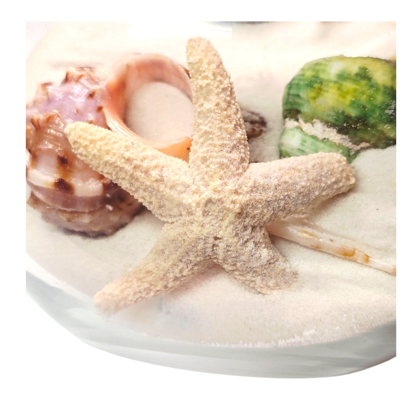 Sand and Shells Sandglobe Paperweight