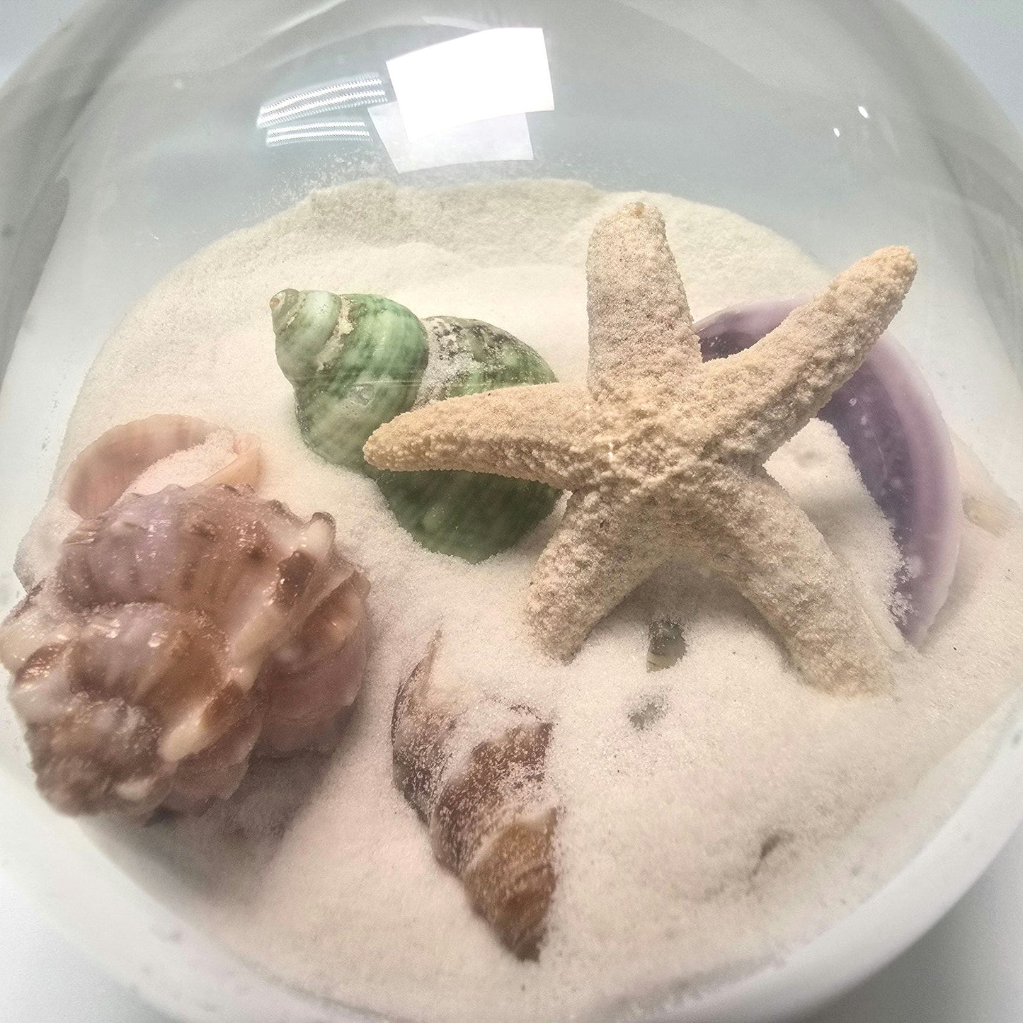 Sand and Shells Sandglobe Paperweight