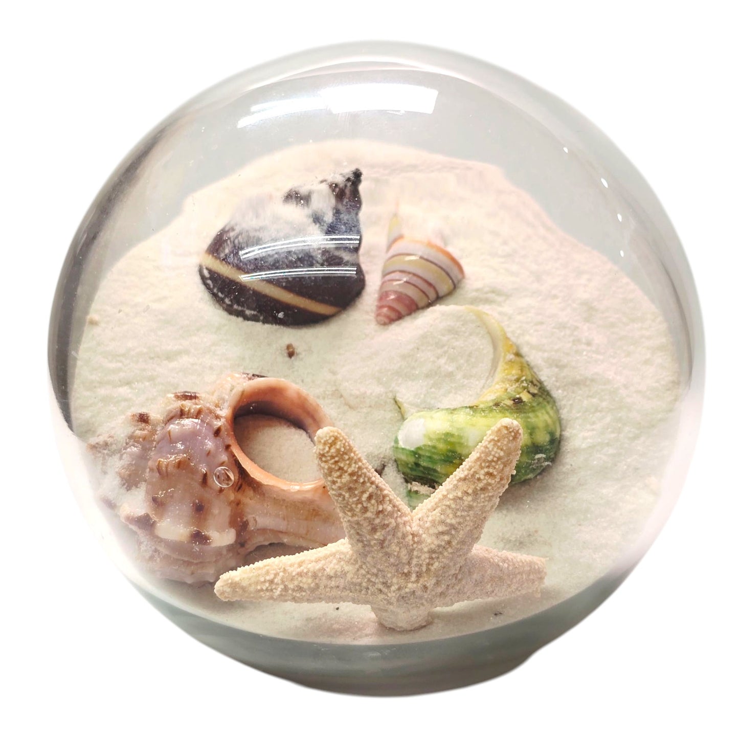 Sand and Shells Sandglobe Paperweight