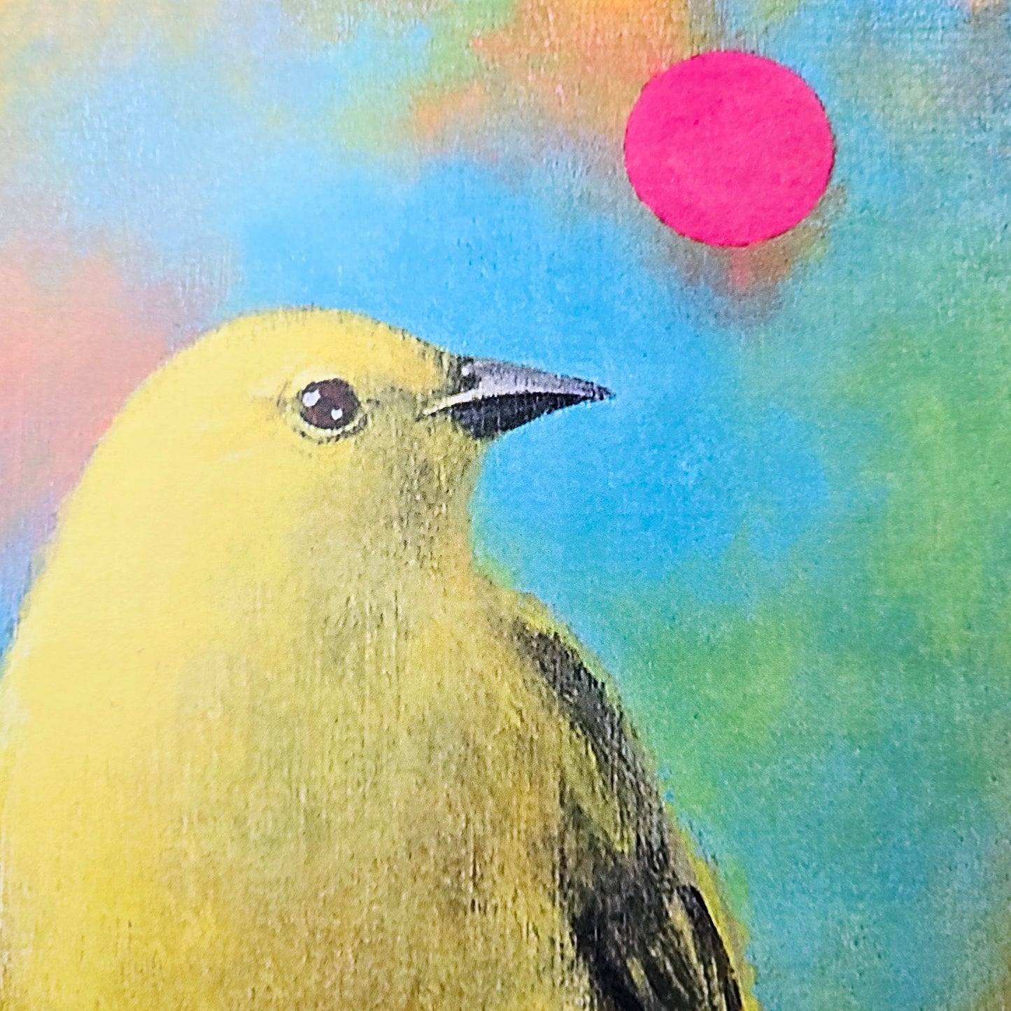 18 x12 Bird Art Print Mysteries of the Universe XII 2014 Bridget Griffith Evans