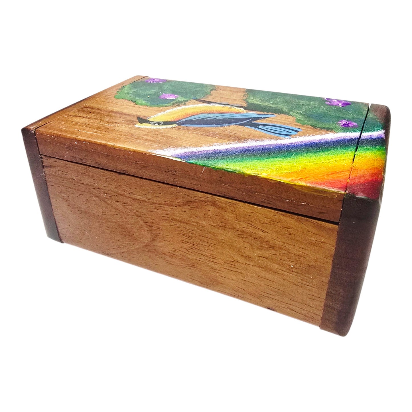 Wood Hand-painted Trinket Treasure Box Bird Tree Rainbow Made in Costa Rica Read