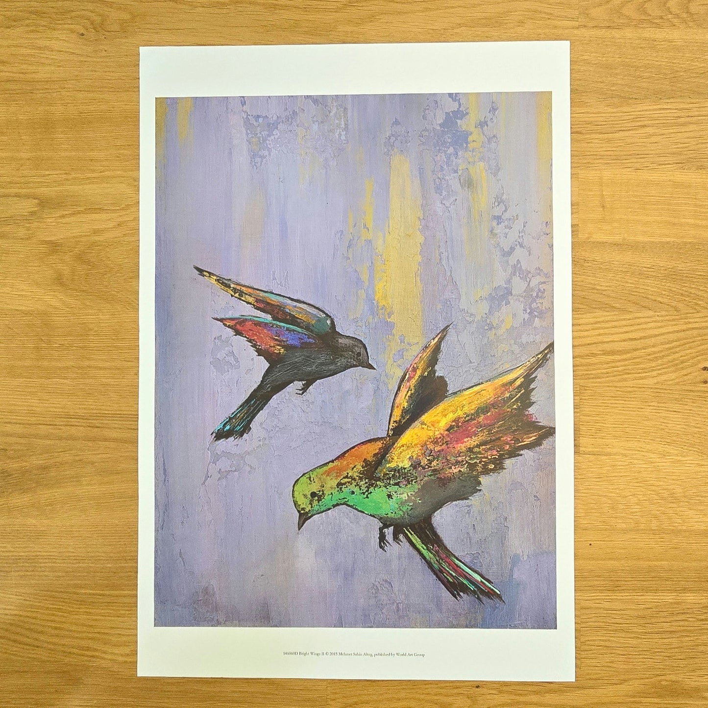 Two 16x12 Bird Art Prints: Bright Wings I & II 2015, Mehmet Sahin Altug