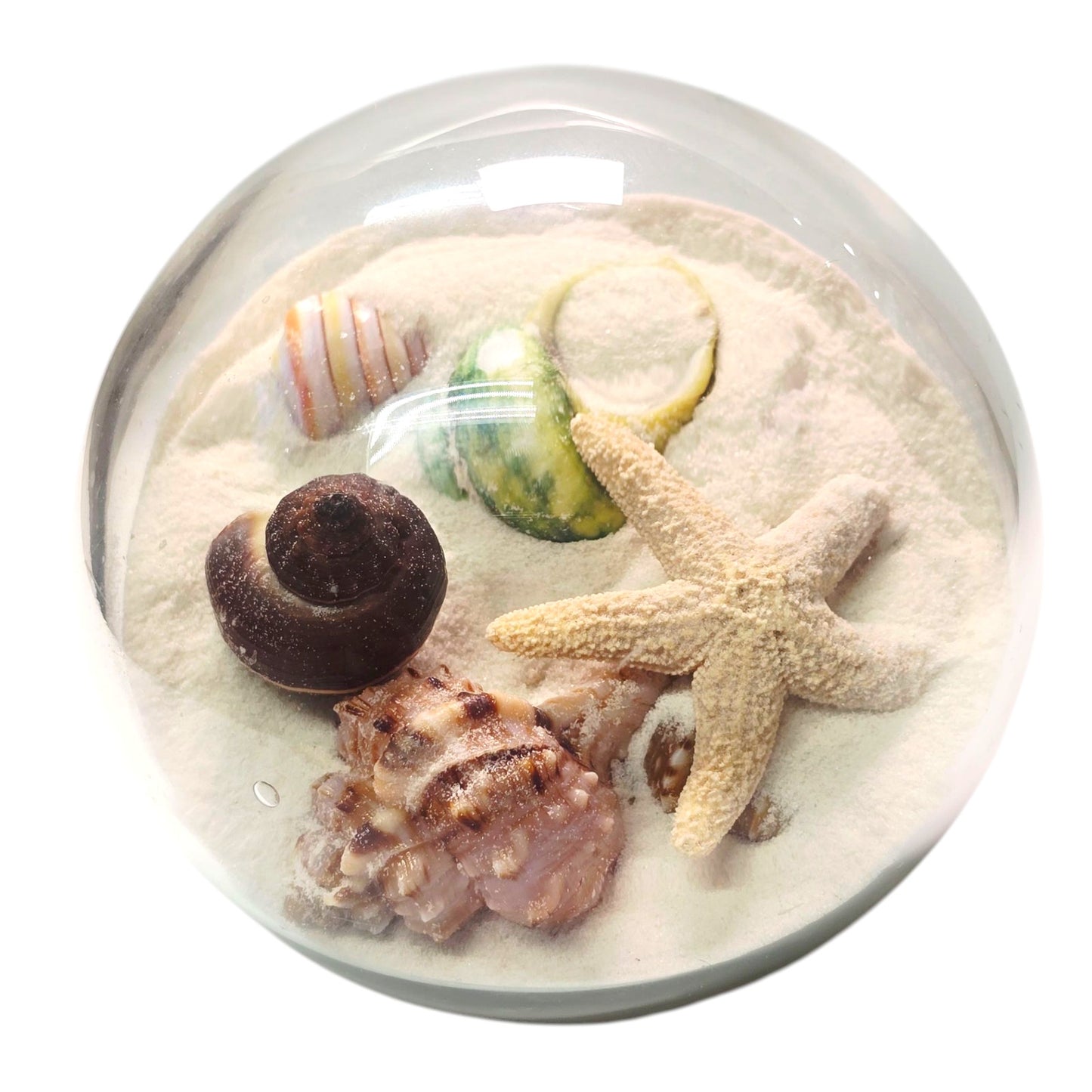 Sand and Shells Sandglobe Paperweight