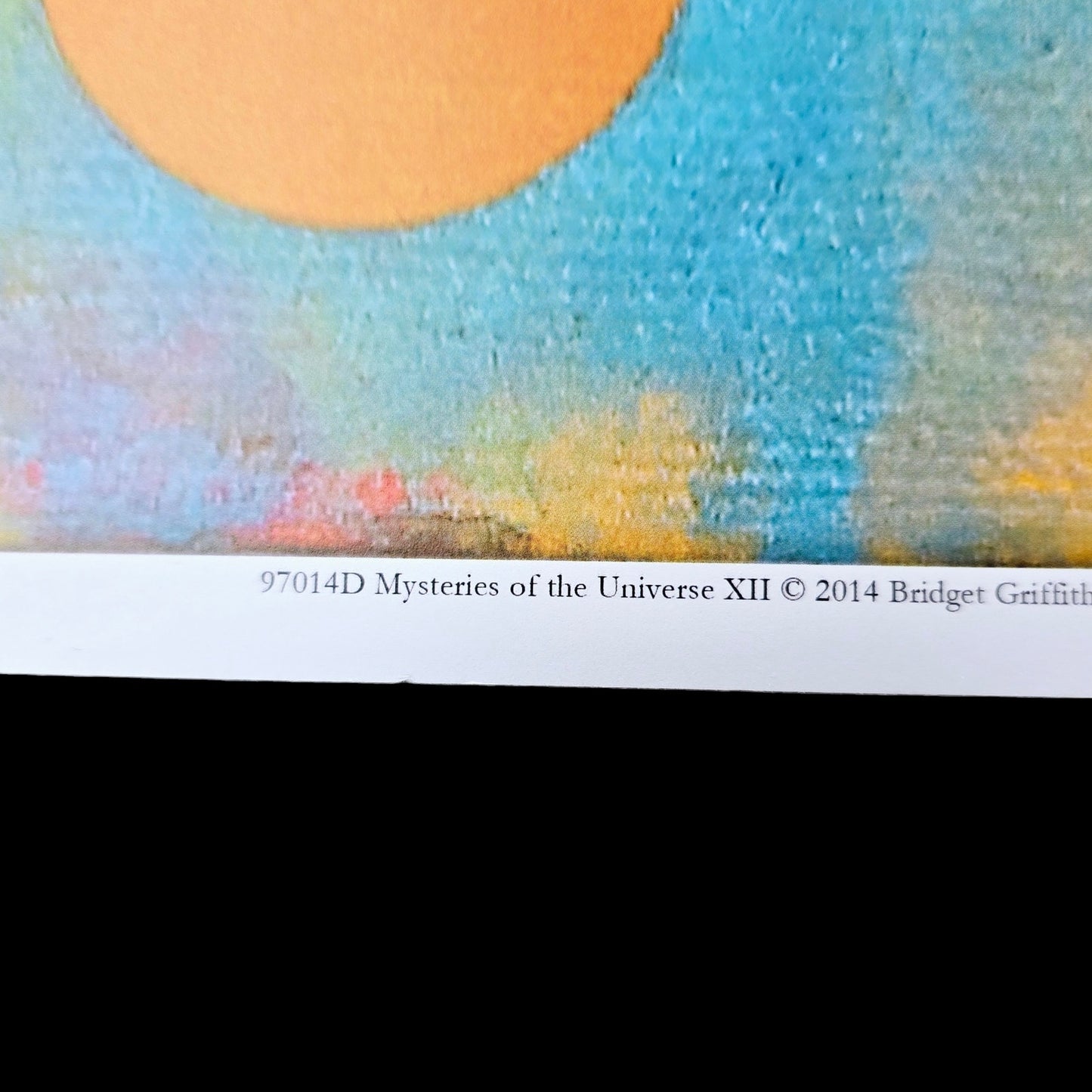18 x12 Bird Art Print Mysteries of the Universe XII 2014 Bridget Griffith Evans