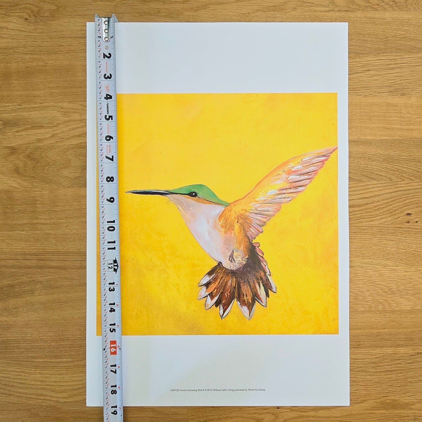 Art Print: Sweet Humming Bird II, 2015, 12x12 print on 13x19 stock