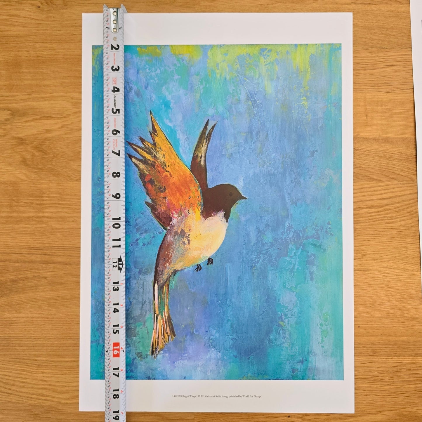 Two 16x12 Bird Art Prints: Bright Wings I & II 2015, Mehmet Sahin Altug