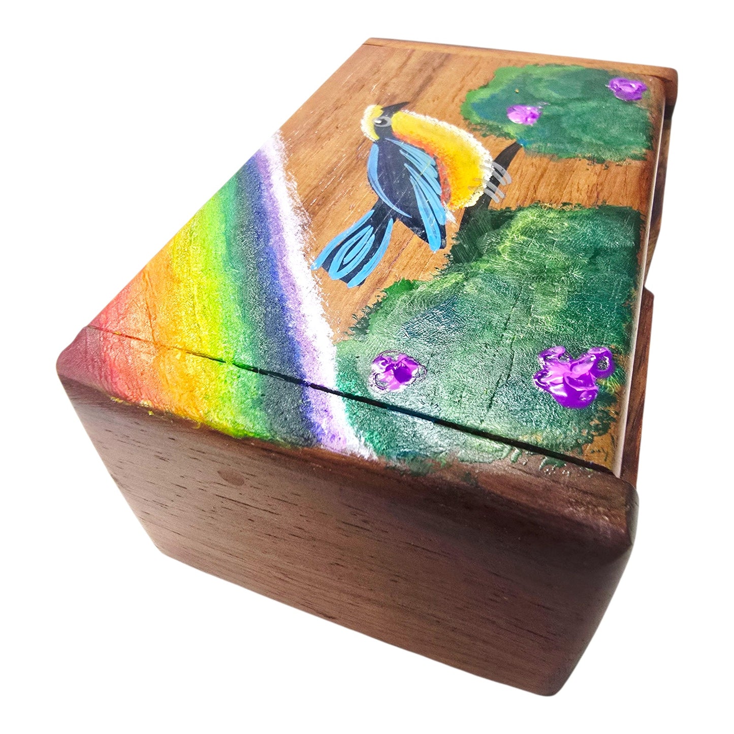 Wood Hand-painted Trinket Treasure Box Bird Tree Rainbow Made in Costa Rica Read