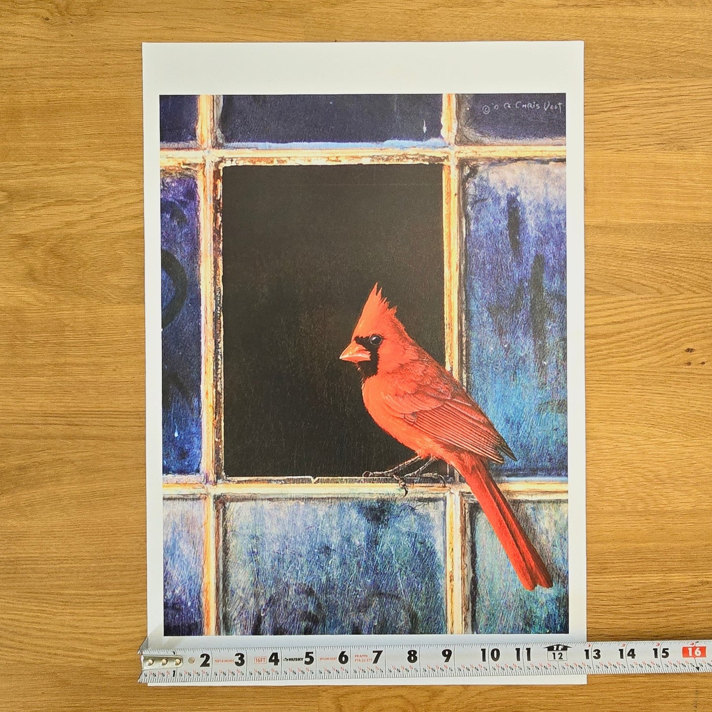 16x12 Red Bird Art Print: Cardinal Window, 2011 Chris Vest, New World Graphics